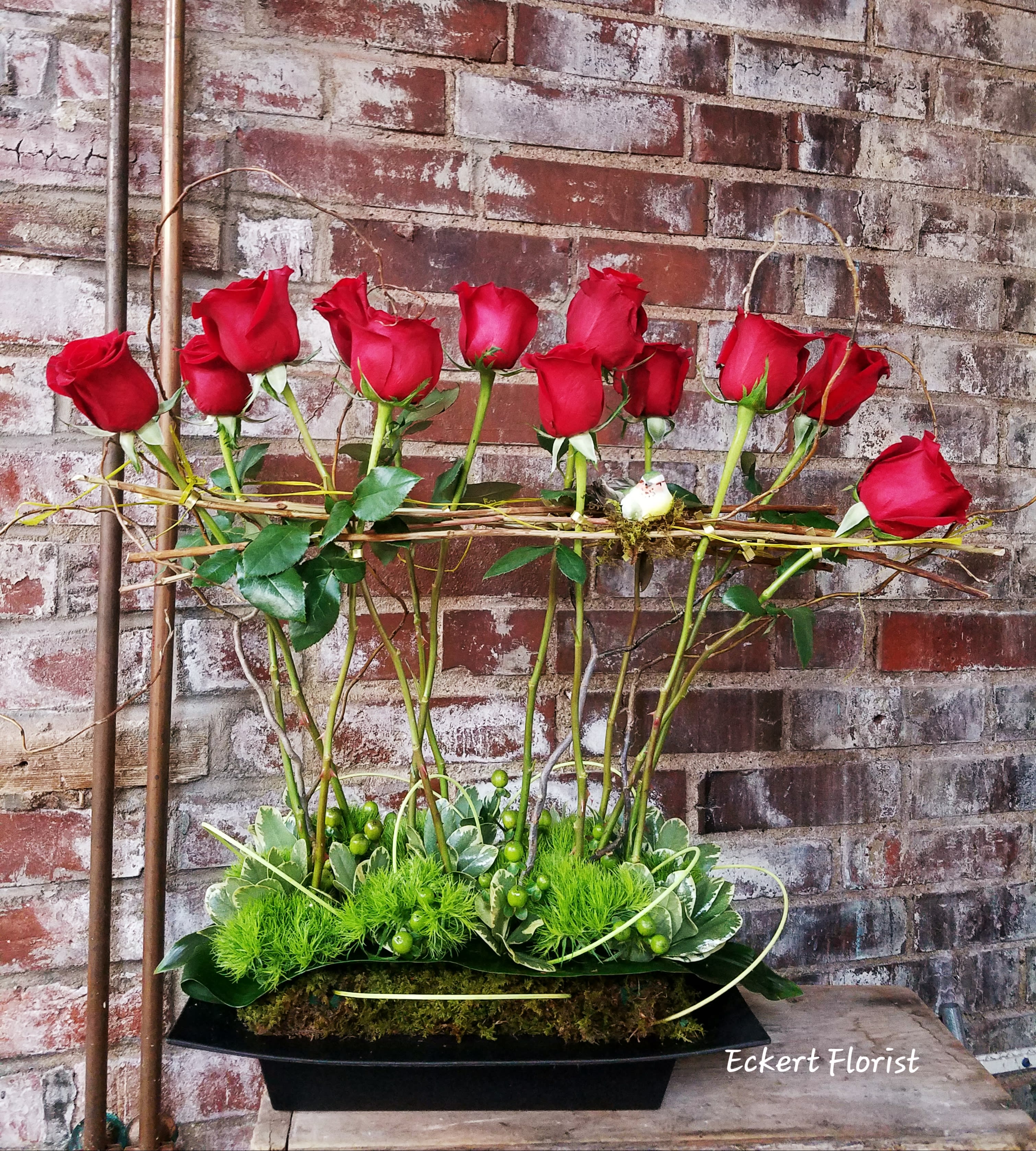 Red roses arranged in a black rectangular container with greenery