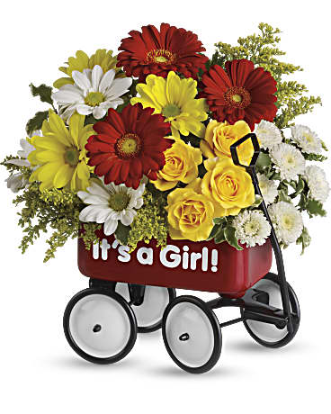 Bouquet in a red baby carriage with "It's a Girl!" text