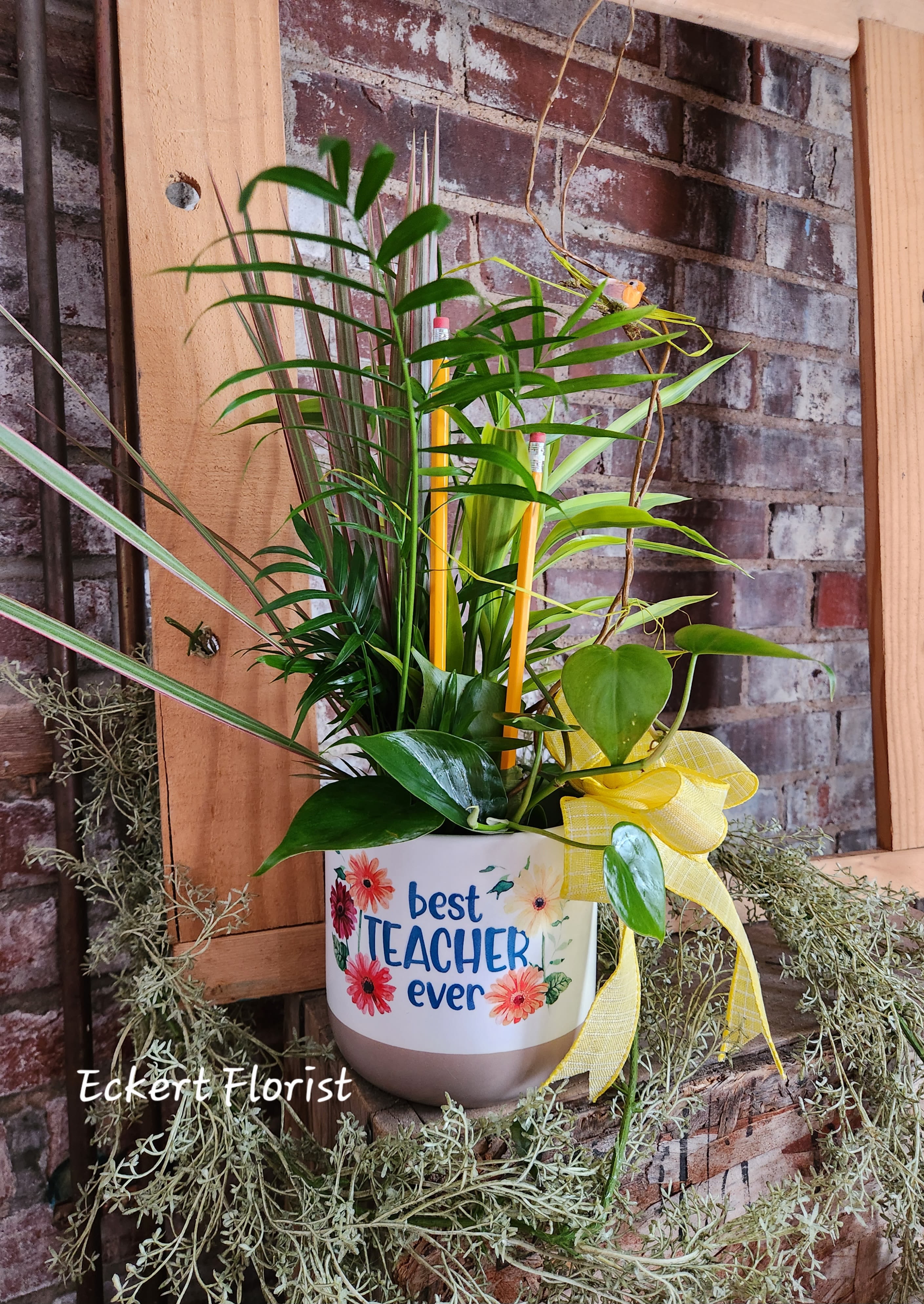 Eckert Florist's Best Teacher Cache Planter - Arriving with a mix of starter live tropical plants, our signature twig, bird and bow, this planter is a perfect keepsake gift for the "Best Teacher" you know. Ceramic pot measures 5" Diameter x 5" High
