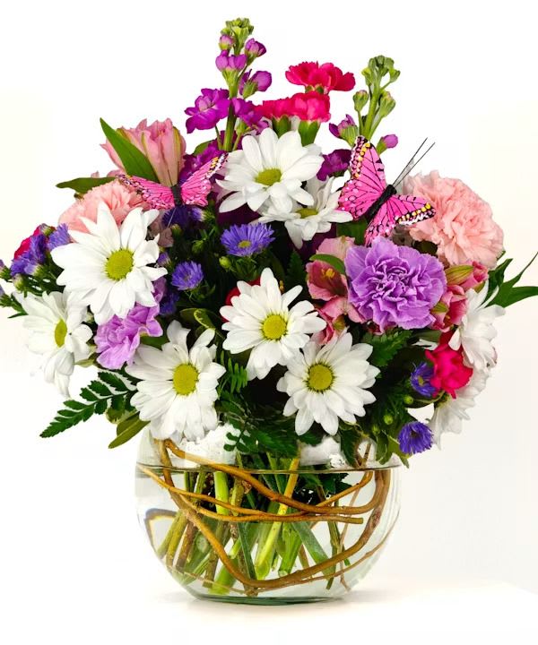 Butterfly Bouquet  - Rounded glass vase of white daisies, pink carnations and purple accents with two butterfly picks.