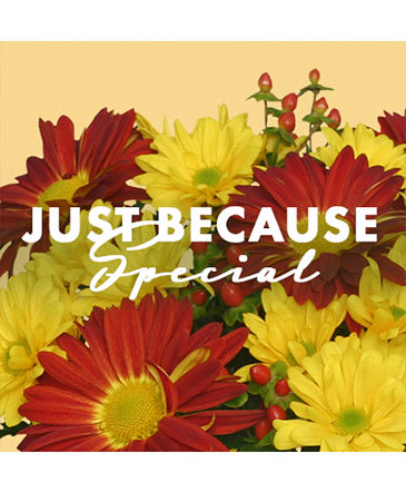 Just Because - Let our designers create something special from the freshest flowers of the day!