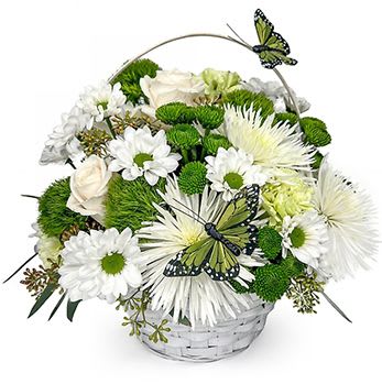 Irish Luck Basket - A fresh flowers basket is perfect and ready for St Patrick's Day celebration!