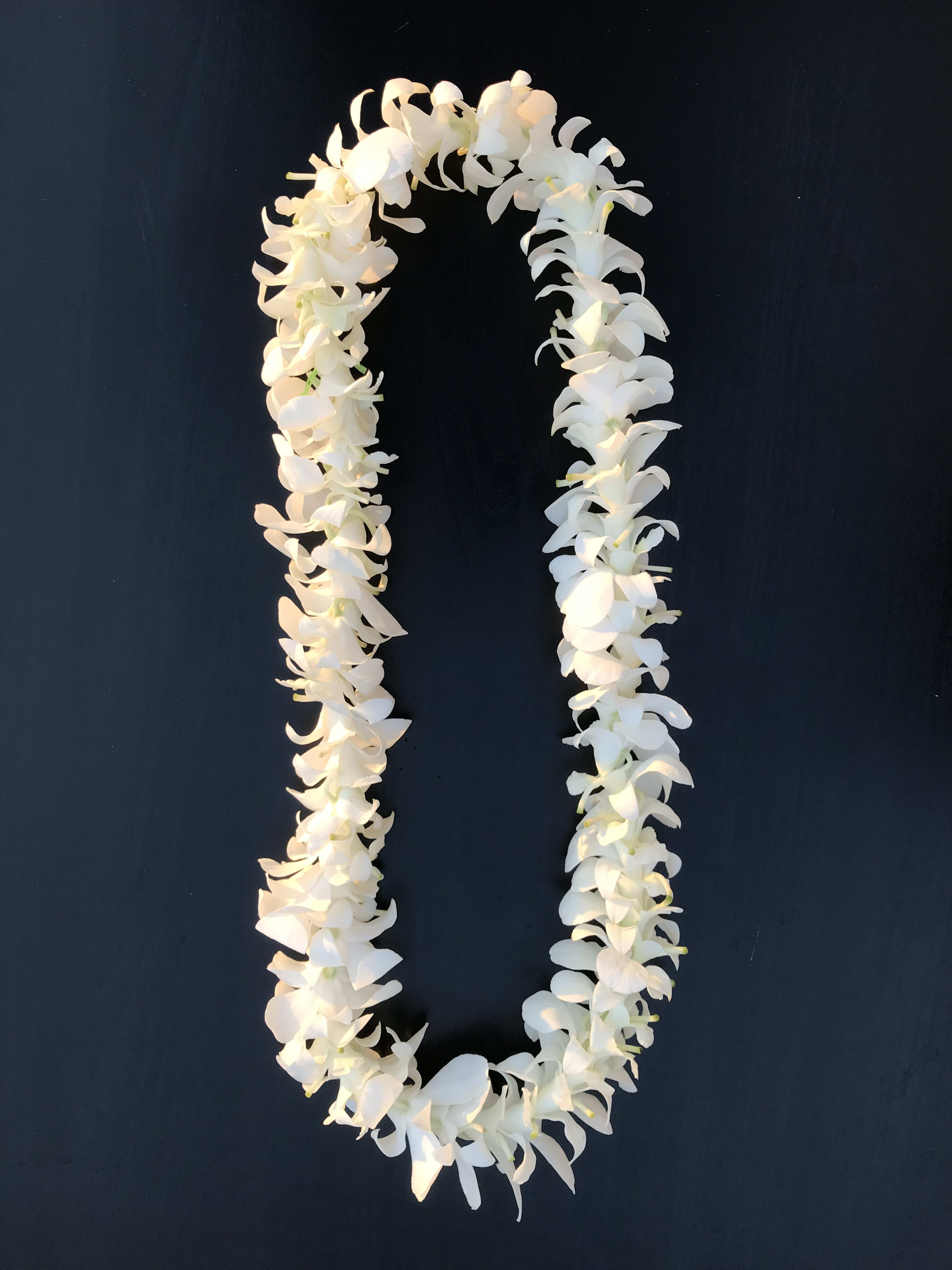 White orchid lei on a dark background