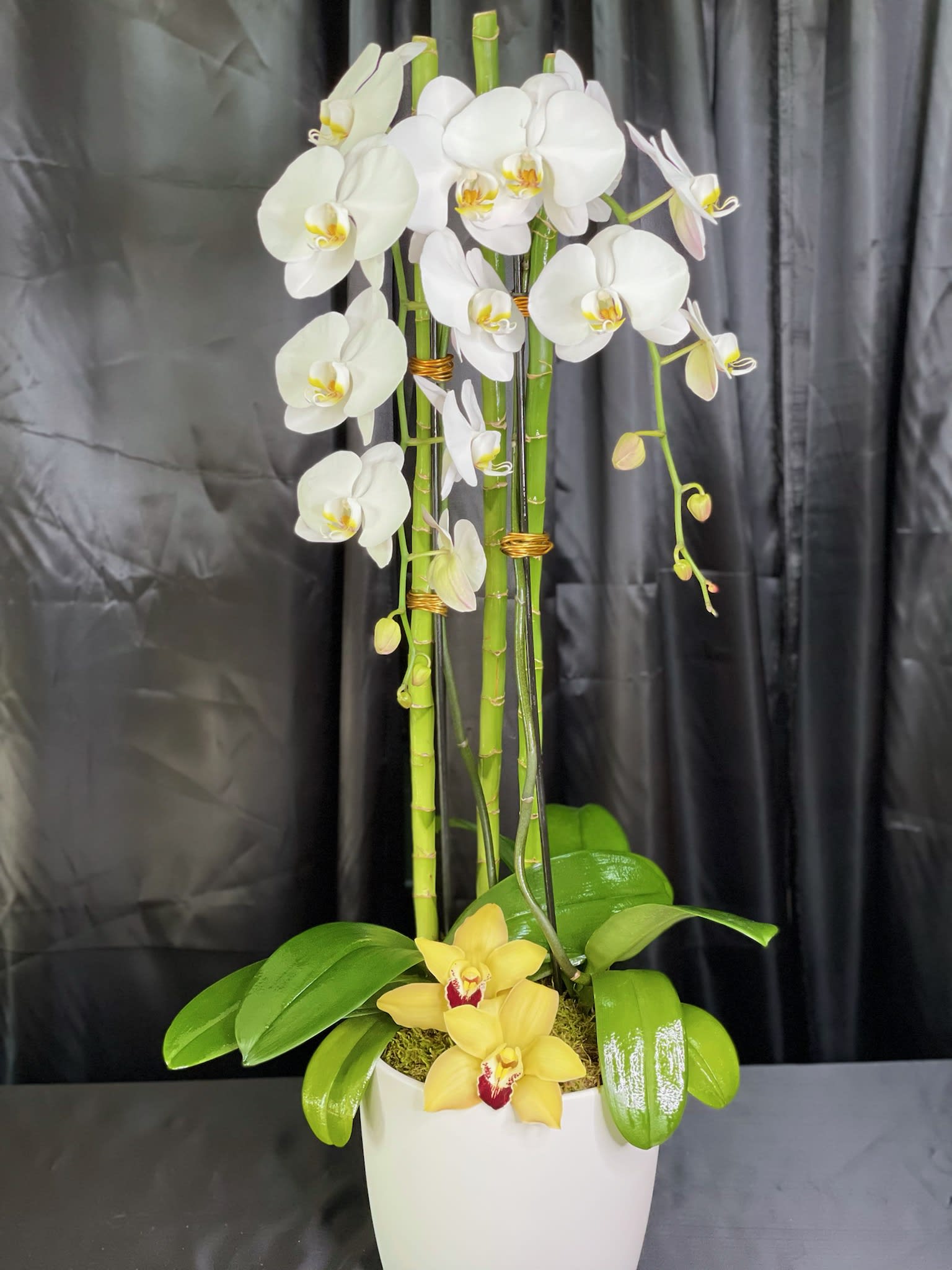White orchids and yellow orchids in a white pot