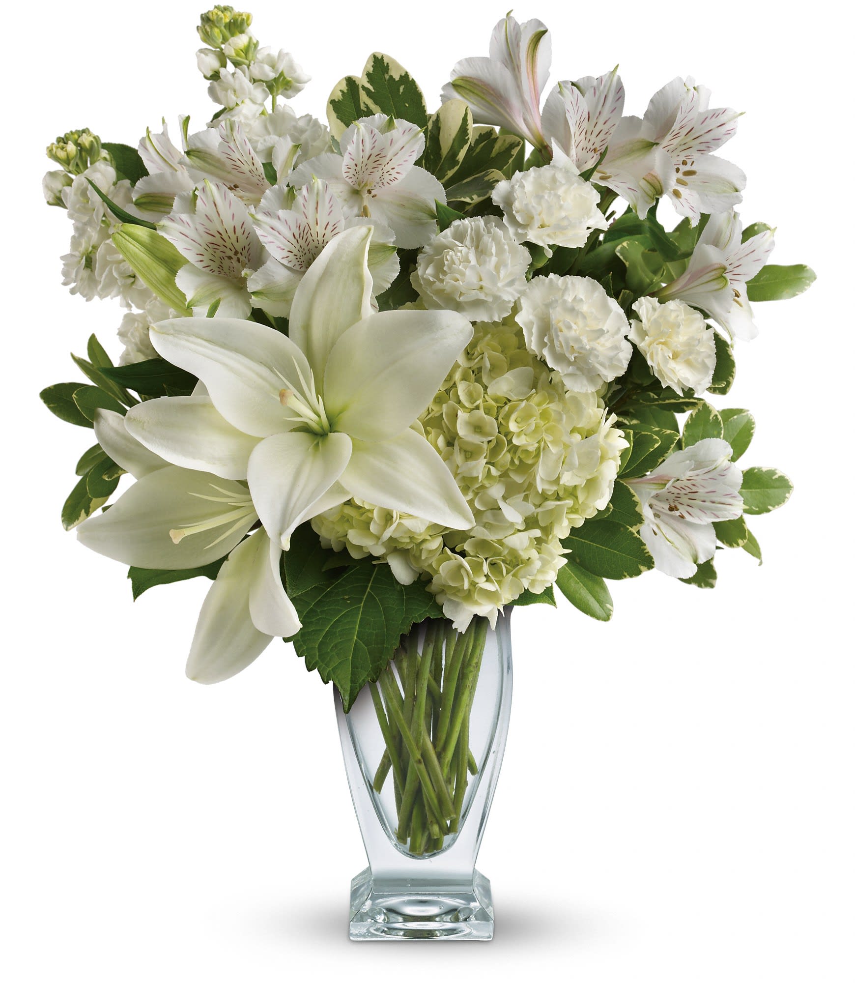 Teleflora's Purest Love Bouquet - Who's the fairest of them all? This snow-white bouquet. A stunning statement of your purest love, this mix of hydrangea and lilies in a Couture vase will take their heart away. TEV30-2A  