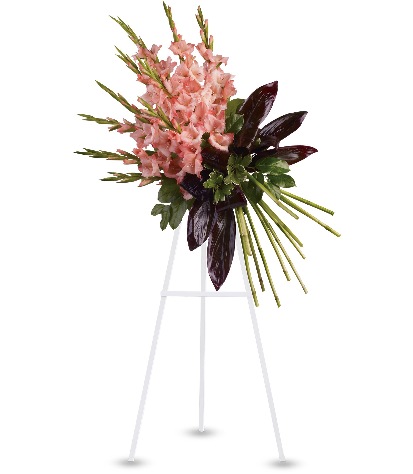 Elegant Tribute Spray - While beautiful and striking gladioli often symbolize strength and dignity, this dazzling coral display acknowledges a passion for living life to its fullest. A message that will surely be appreciated by anyone mourning a loved one. T246-1A 