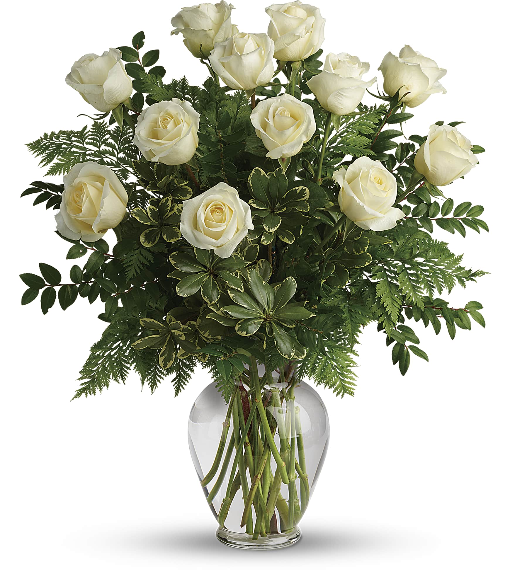Joy of Roses Long Stemmed White Roses - A joyful gesture of love and affection, this chic arrangement of one dozen pure white roses with fresh greens is a special surprise on any occasion. 12 white roses are arranged with leatherleaf fern, huckleberry and variegated pittosporum. Delivered in a clear vase. Approximately 21" W x 24 1/2" H 