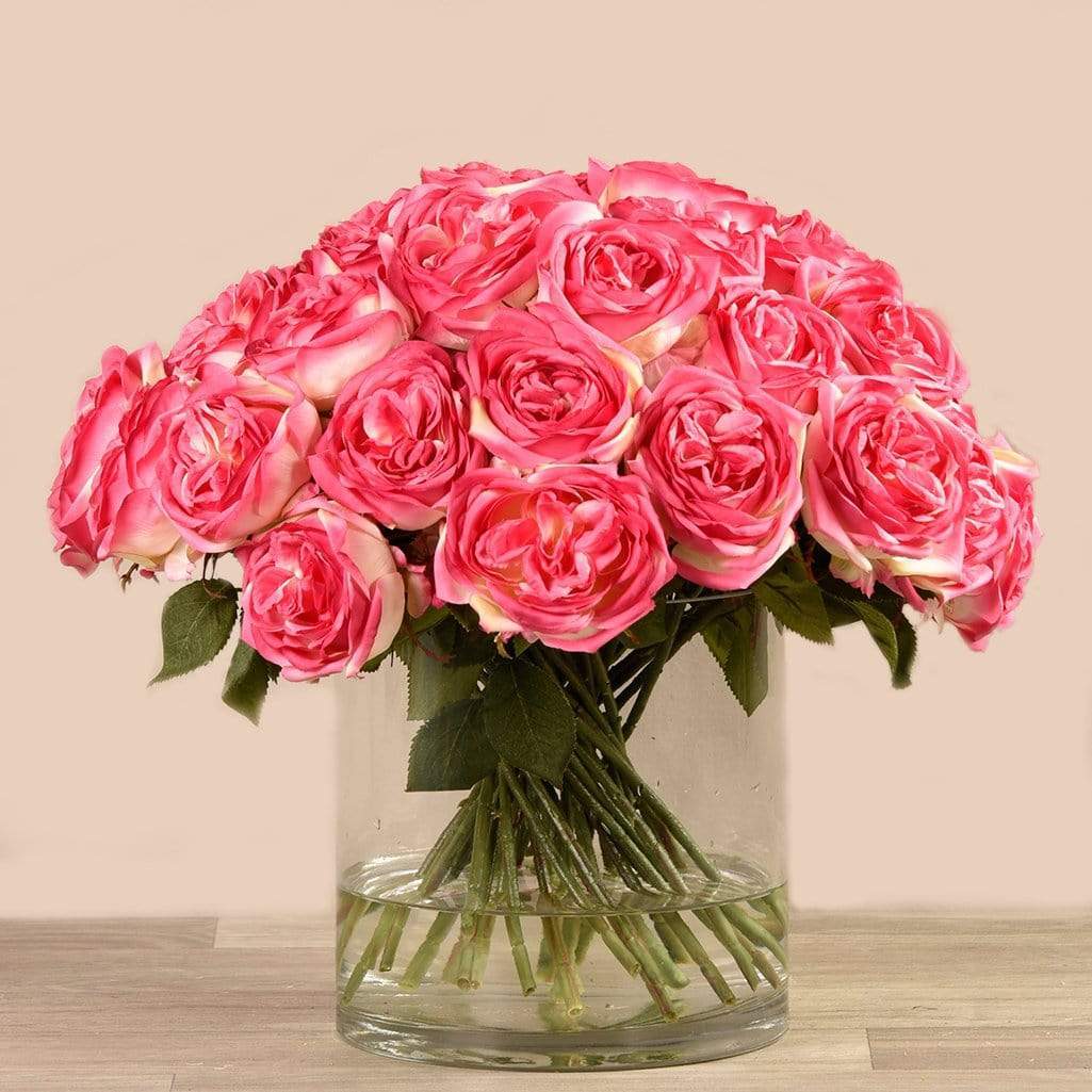 Pink Elegant Statement - Make a bold statement with this beautifully simple design. Three Dozen Pink Roses  is the perfect gift for Mother's day, an Anniversary, or when anytime you want to send love. Arrangement Details: Three dozen red roses in a glass cylinder vase. APPROXIMATE DIMENSIONS are 12"D X 12"H