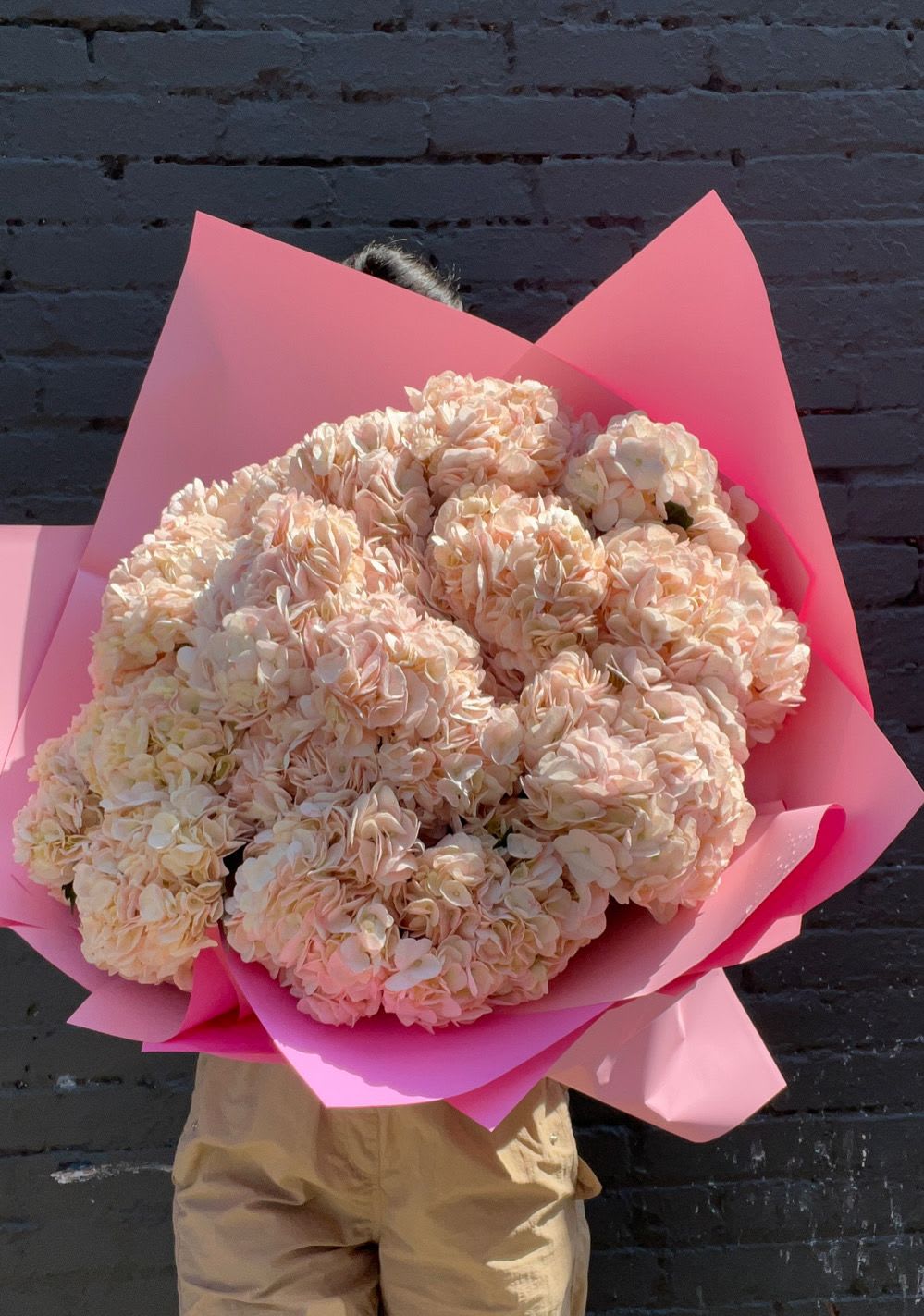 Large bouquet of pale peach hydrangeas wrapped in bright pink paper