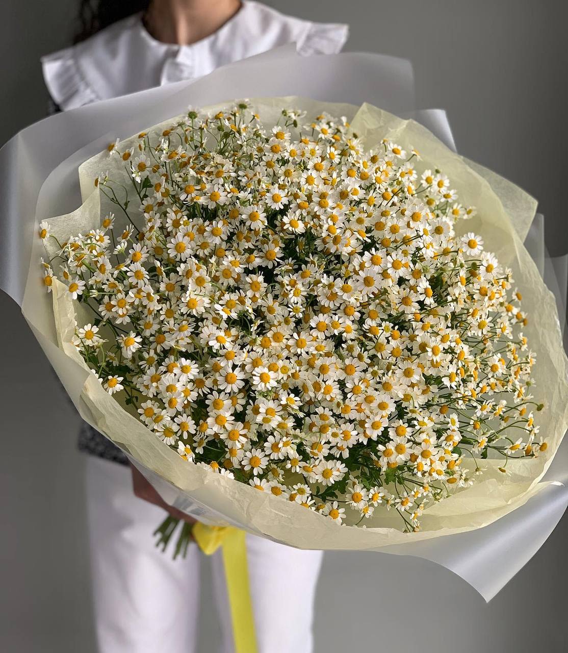 Large bouquet of small white daisies with yellow centers wrapped in pale paper
