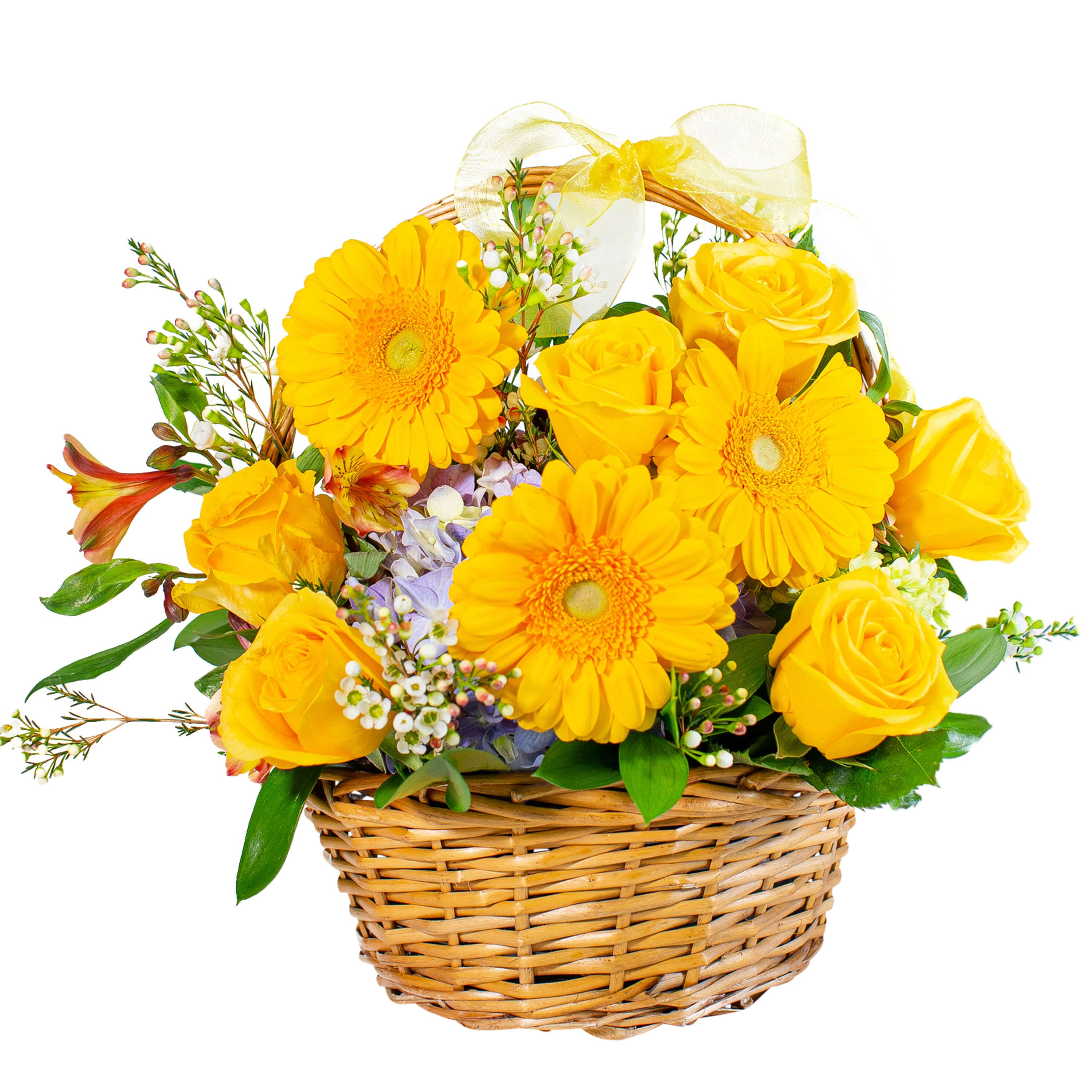 Basket Full of Sunshine - TMF-1527 - Sunshine on a cloudy day? No problem. Basket Full of Sunshine will brighten faces and rooms alike. Vibrant yellow Daisies and Roses fill this basket with love and well wishes.  Approximately 15"W X 15"H