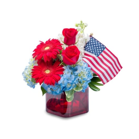 Independence - This beautiful combination of red, white and blue truly celebrates our independence.