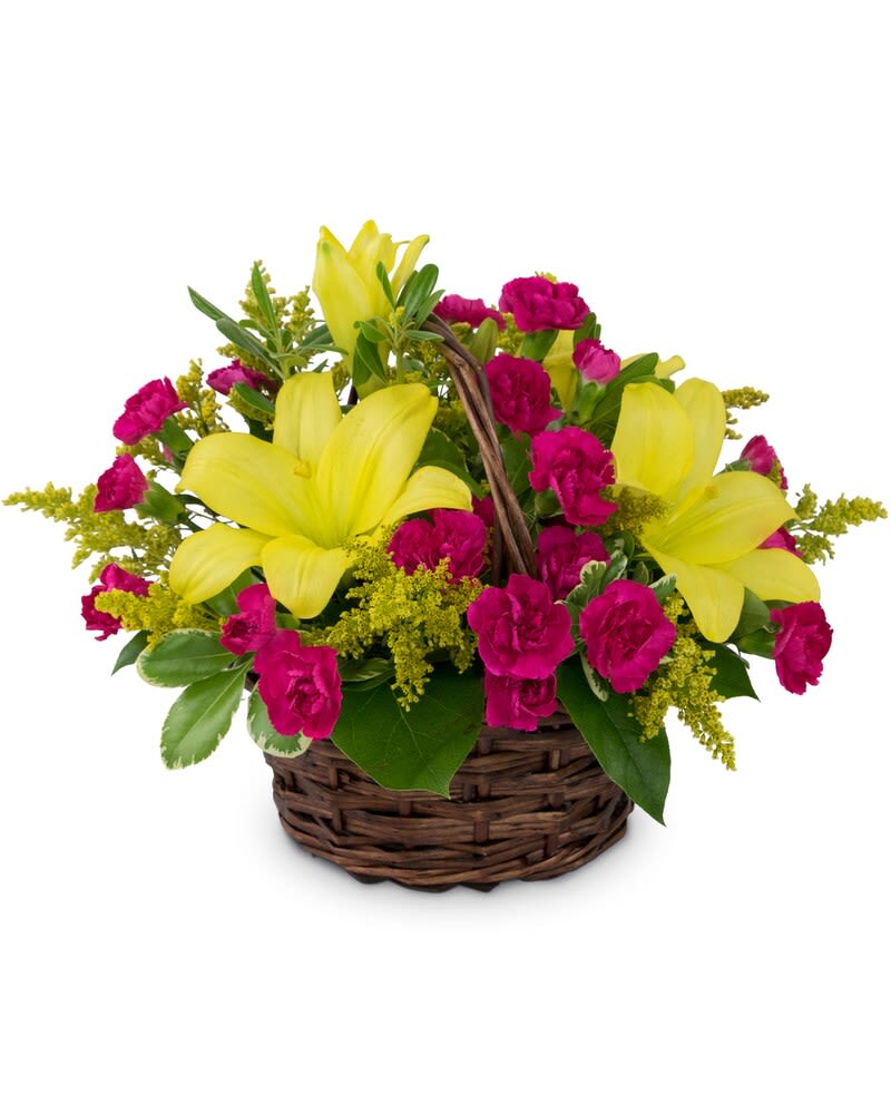 Sweet as Summer - Perfect for a pick-me-up or welcome to the neighborhood, the blooms are as Sweet as Summer in this basket. Yellow lilies and bright pink carnations evoke memories of sherbet and sunshine. Carefree times are sure to come with this hand delivered wicker basket. 