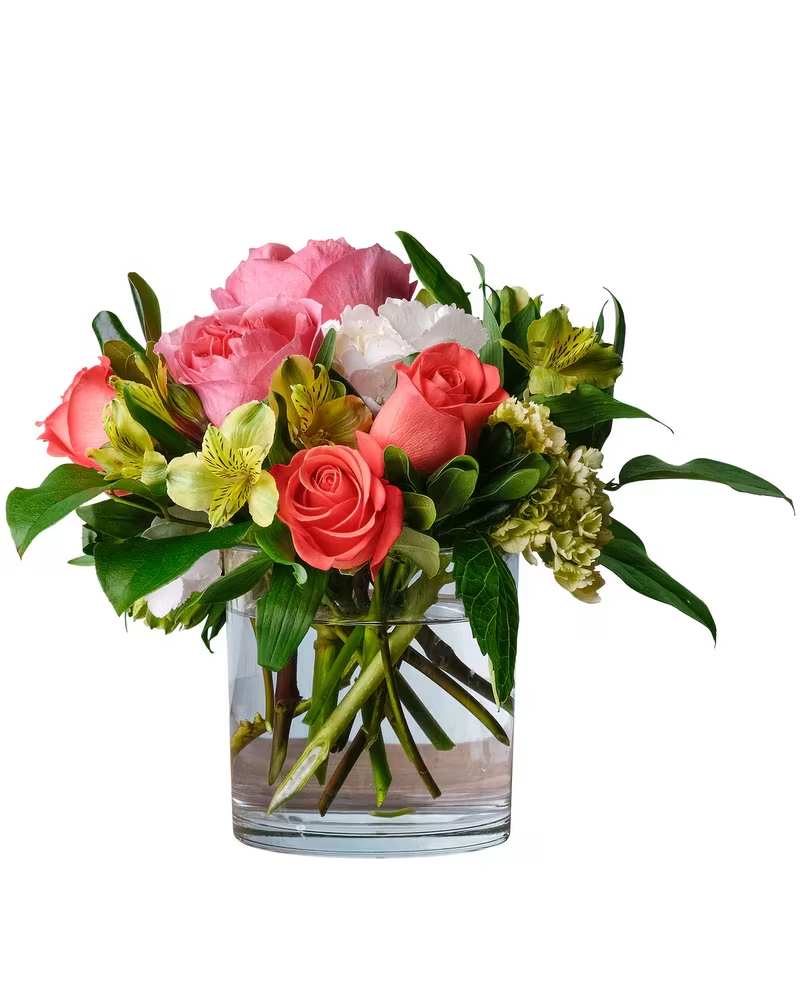 Expressions - A display of the season's most fun colors are combined in this beautiful arrangement. Coral, orange, lime green, yellow, and white flowers including roses, hydrangea, and alstroemeria are designed in a clear glass cylinder perfect for a coffee table or desk. 