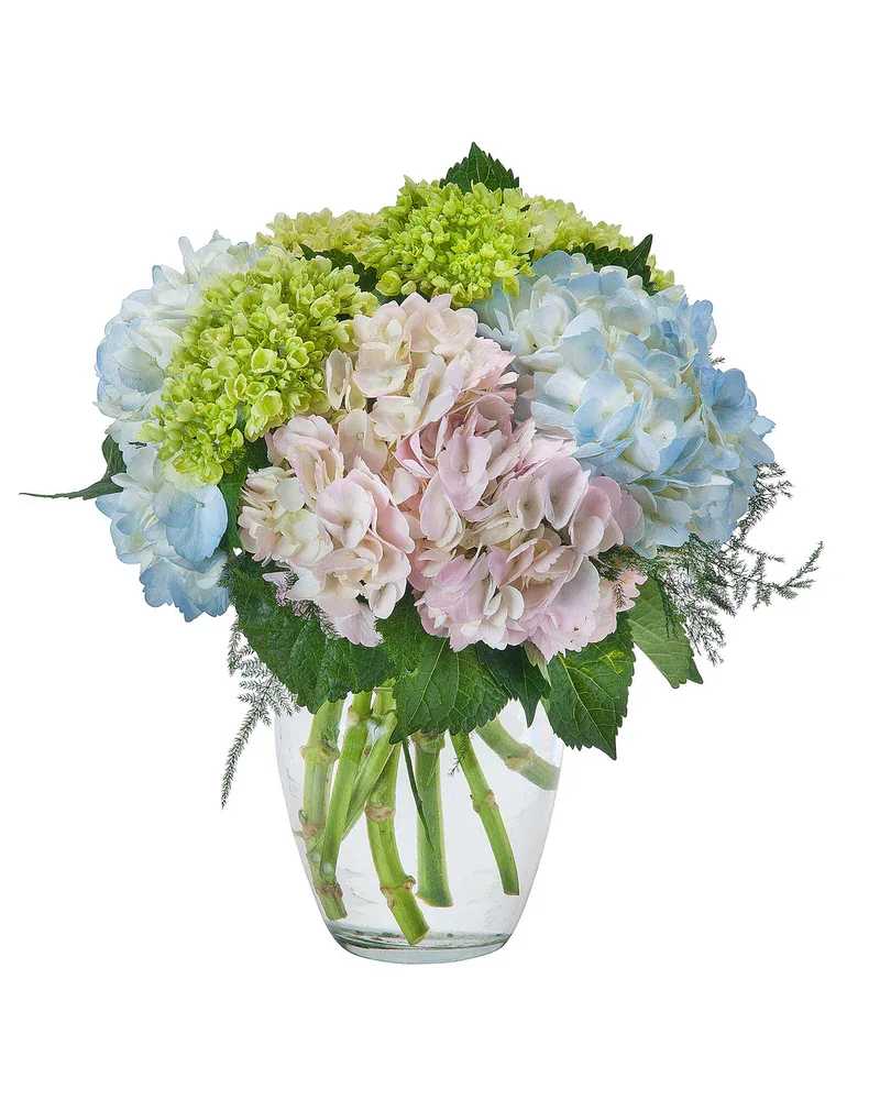Southern Charm - A clear vase filled with beautiful hydrangea. 