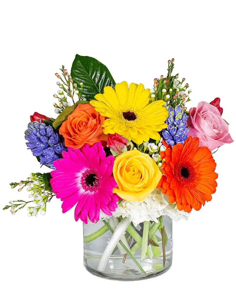 Carousel - Magical and fun. Carousel brings memories of fun and laughter home . Gerbera Daisies and Roses steal the show. 