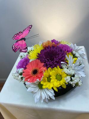 Colorful mixed daisy bouquet with a pink butterfly pick