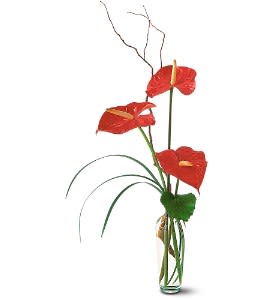Tall arrangement of red anthuriums in a clear glass vase