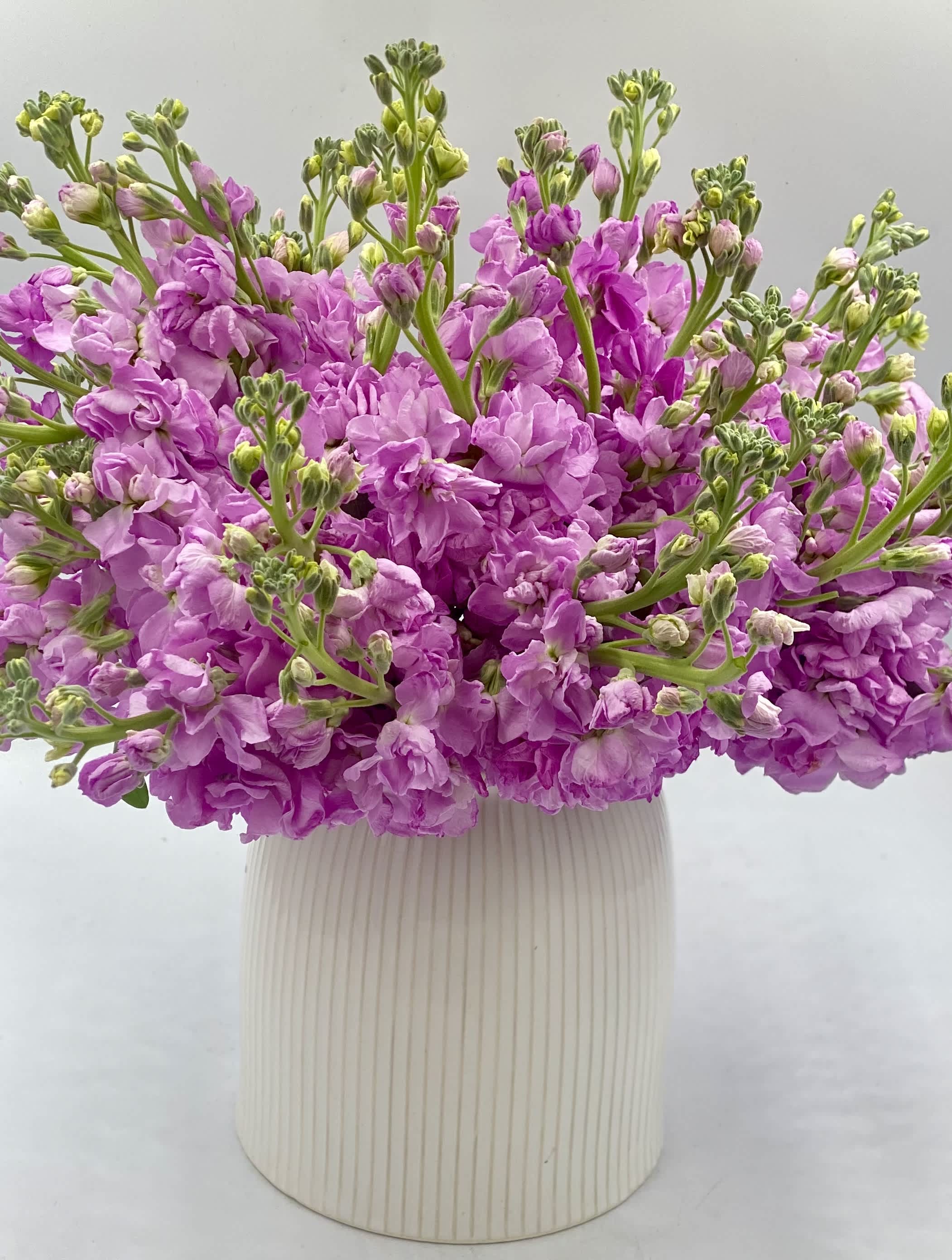 Pink stock flowers in a ribbed white vase