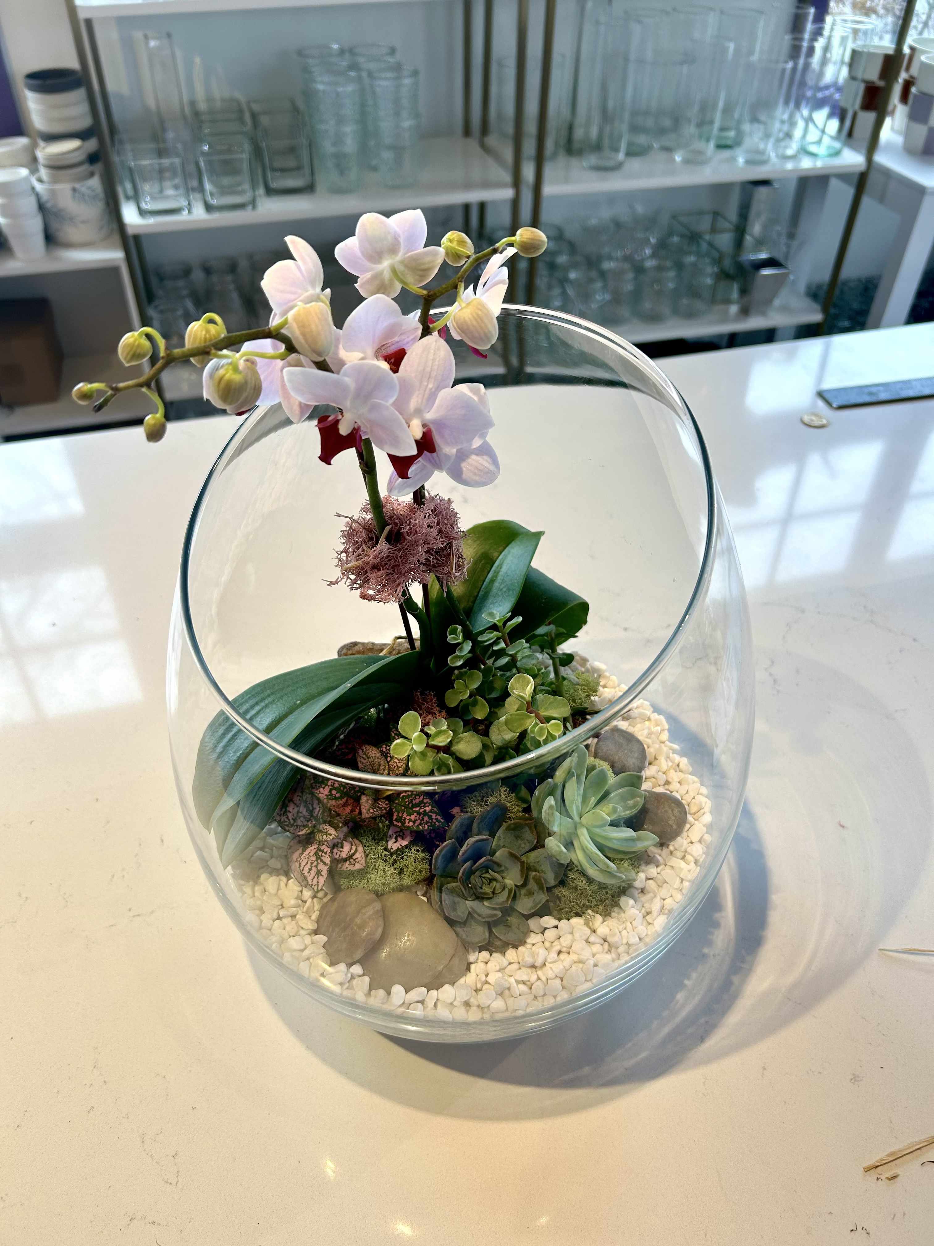 Orchid and succulents in a glass bowl terrarium