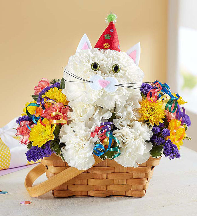 White flower cat arrangement in a basket with a party hat and colorful blooms