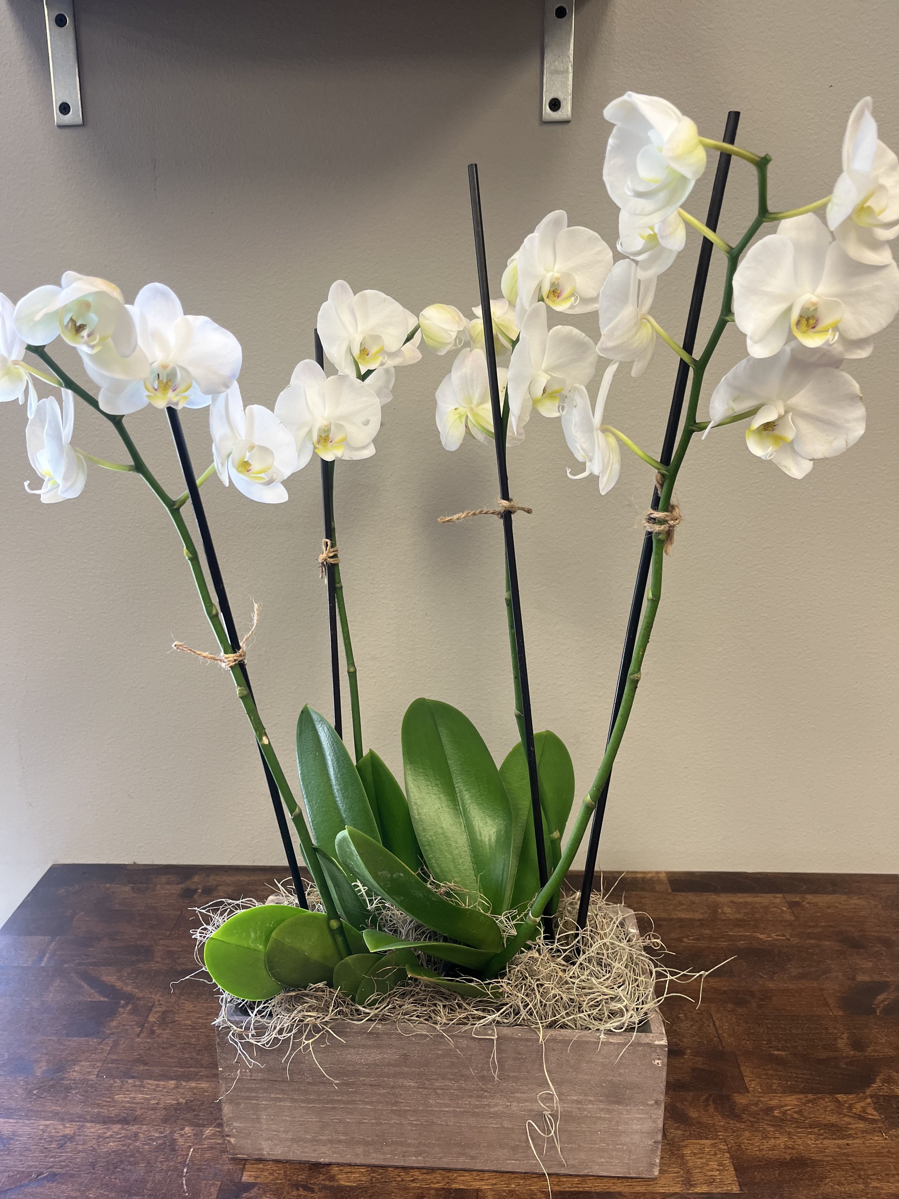 White orchids in a wooden box planter
