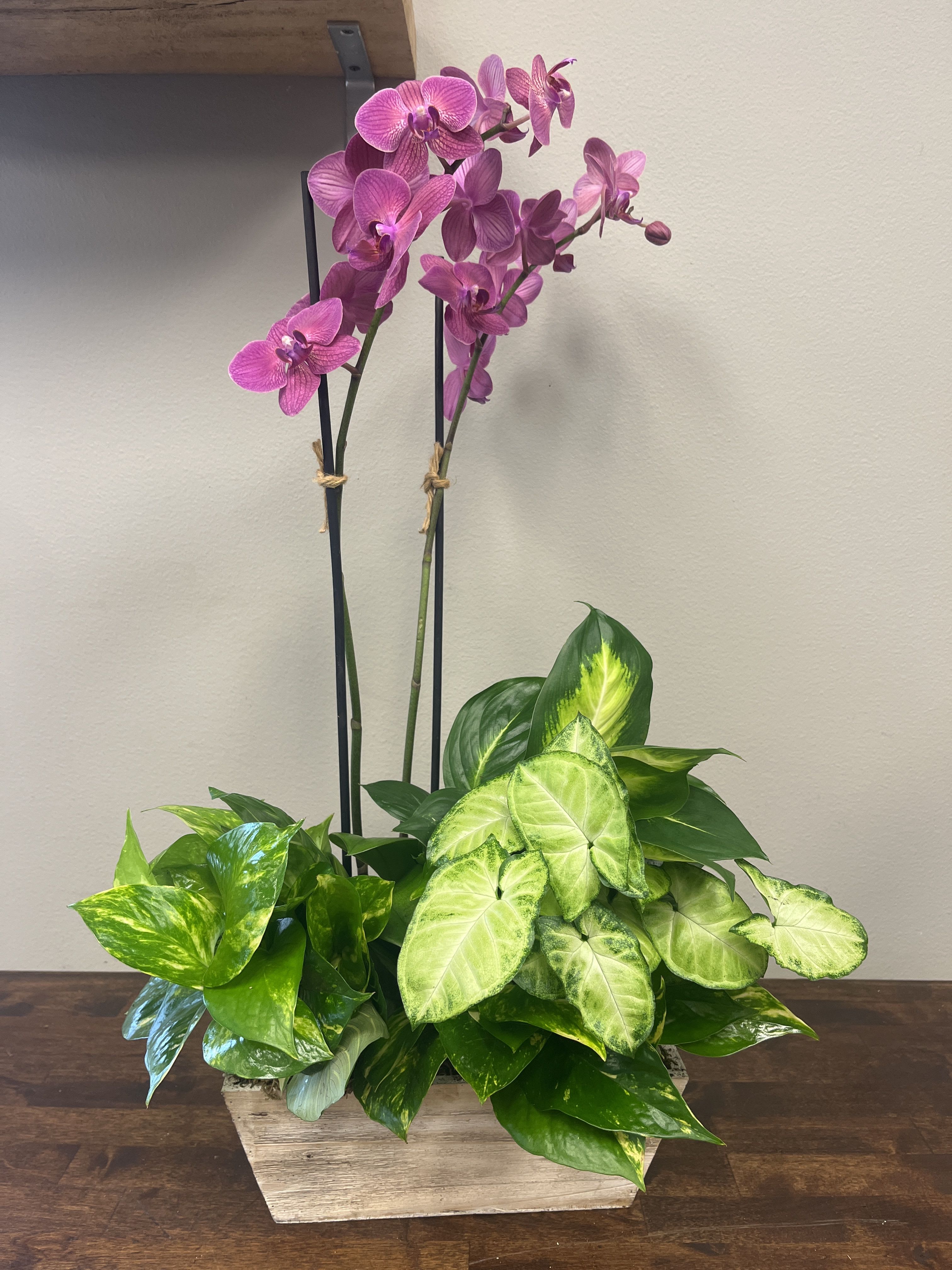 Pink orchids in a wooden planter with green foliage