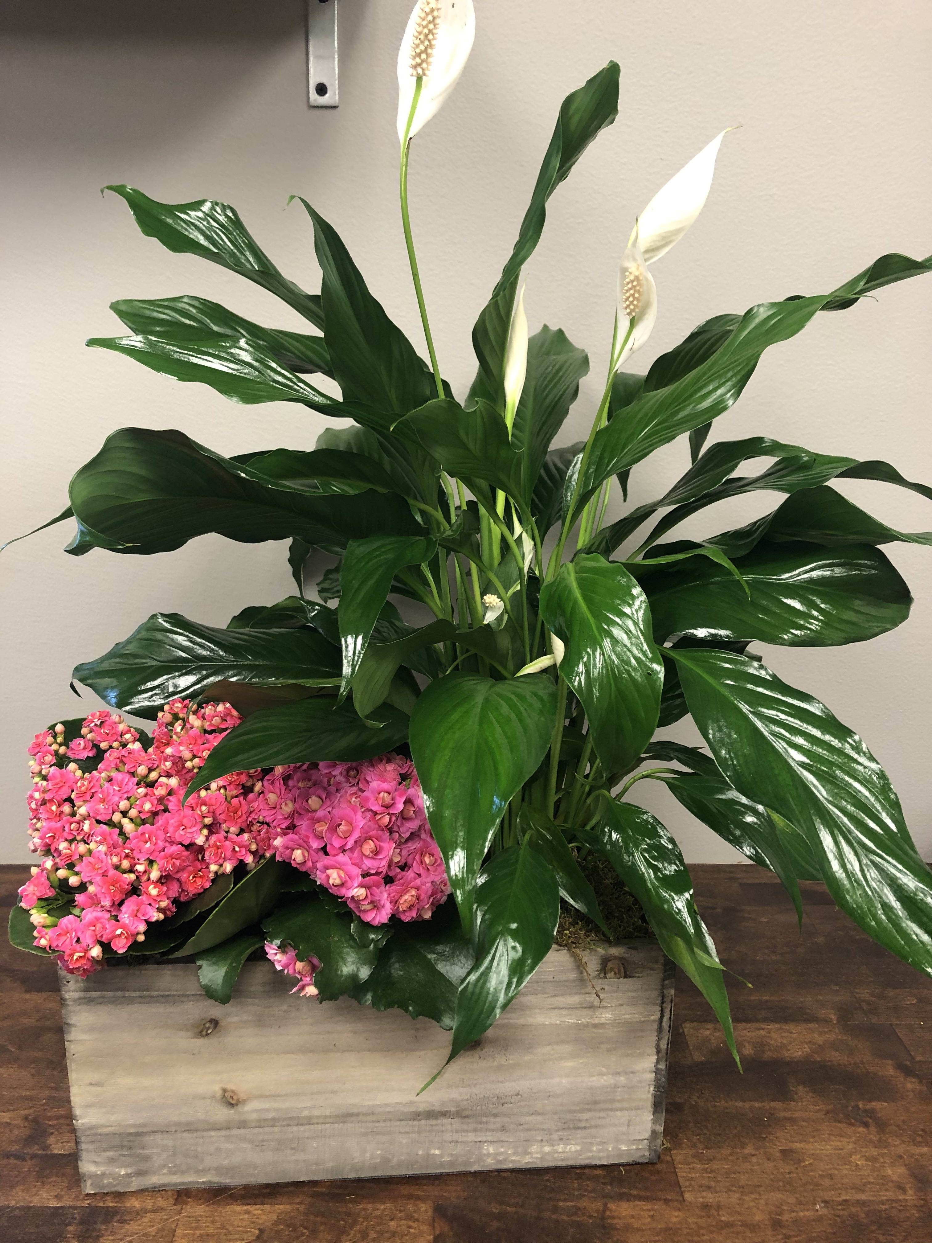 Pink kalanchoe and white peace lilies in a wooden planter