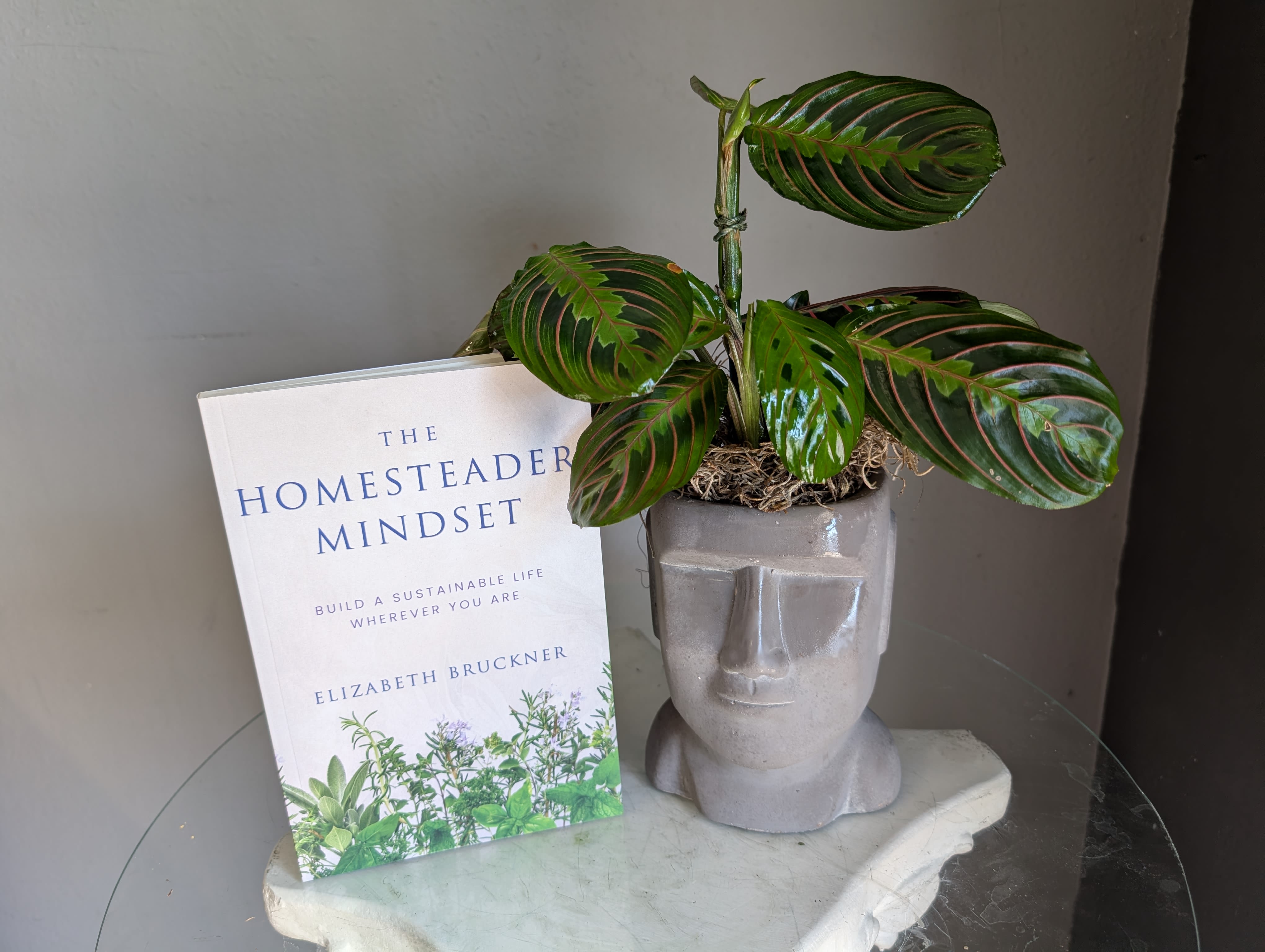 The Homesteader Mindset- Book Club! - This book was written by an author local to Orange about building a sustainable life wherever you are. Please see second photo for the exert on the back of the novel! Happy reading!