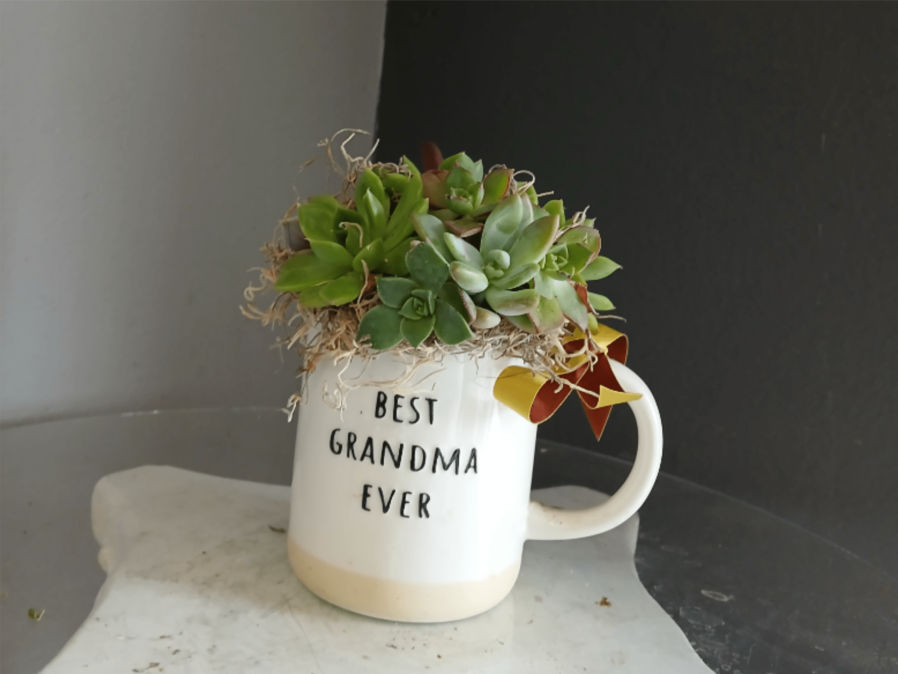 Best Grandma Ever Succulent - Precious succulent arrangement in a mug with a brown and yellow bow.