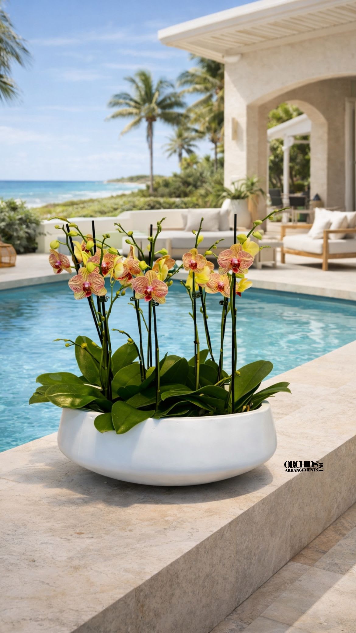 Orchid arrangement in a white bowl planter by a pool
