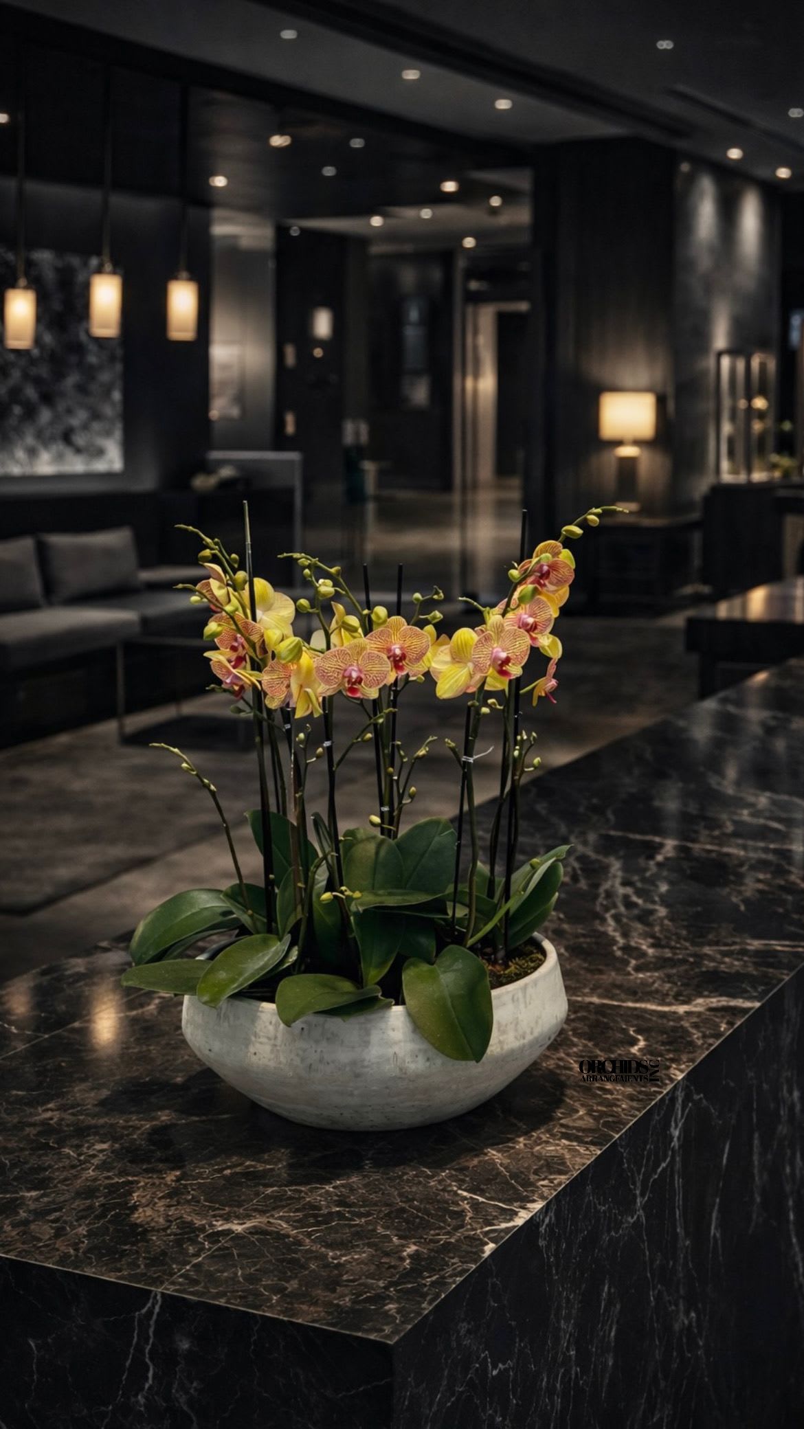 Potted orchid arrangement in a white bowl planter