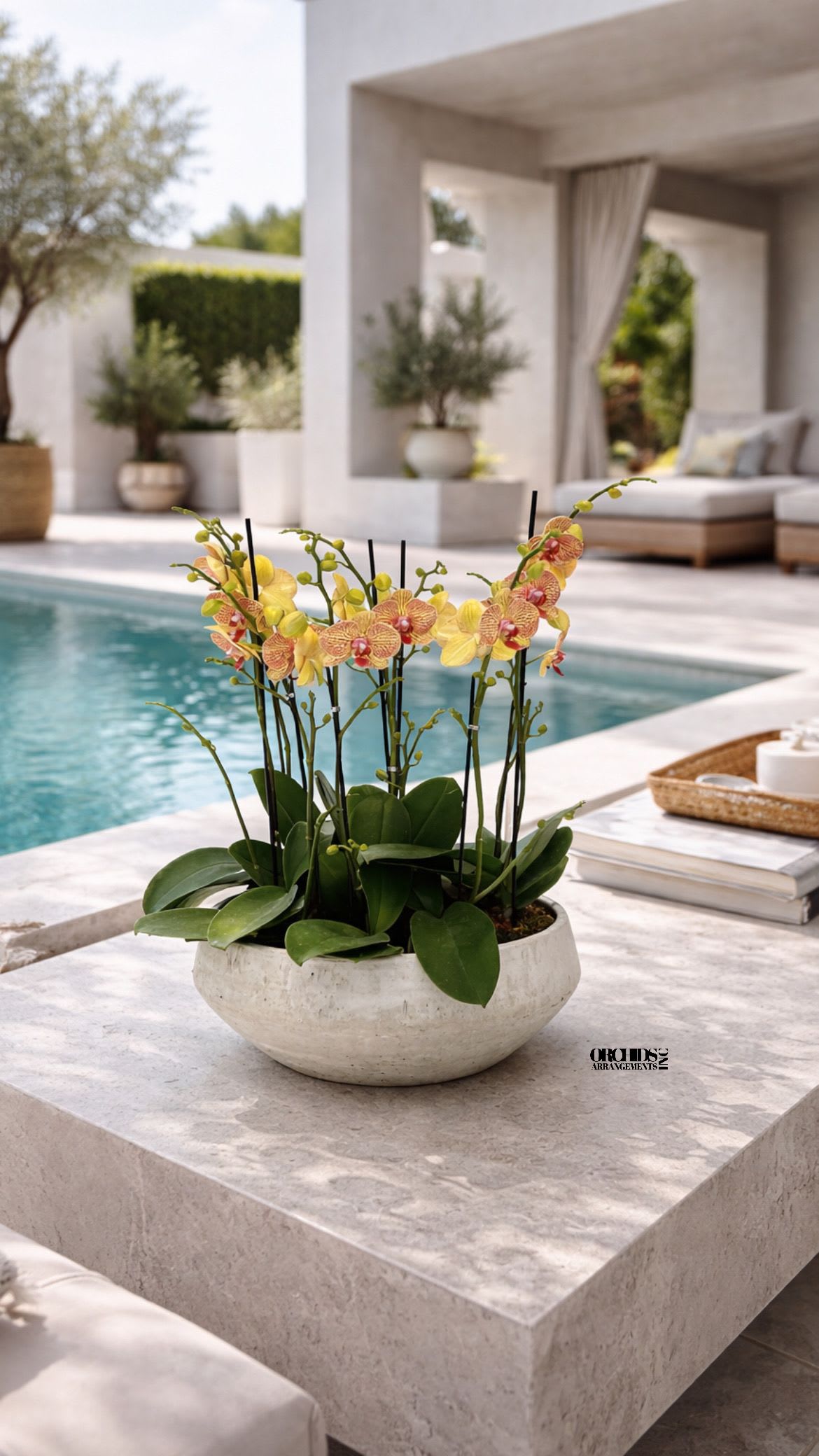 Potted orchid arrangement in a shallow white bowl on a patio table