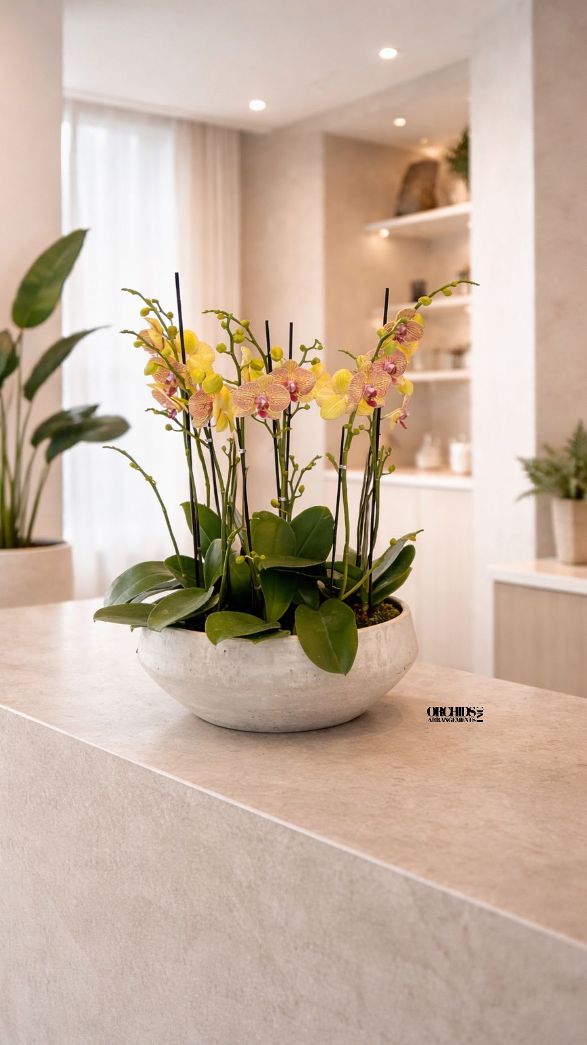 Potted orchid arrangement with yellow and pink blooms in a white bowl.
