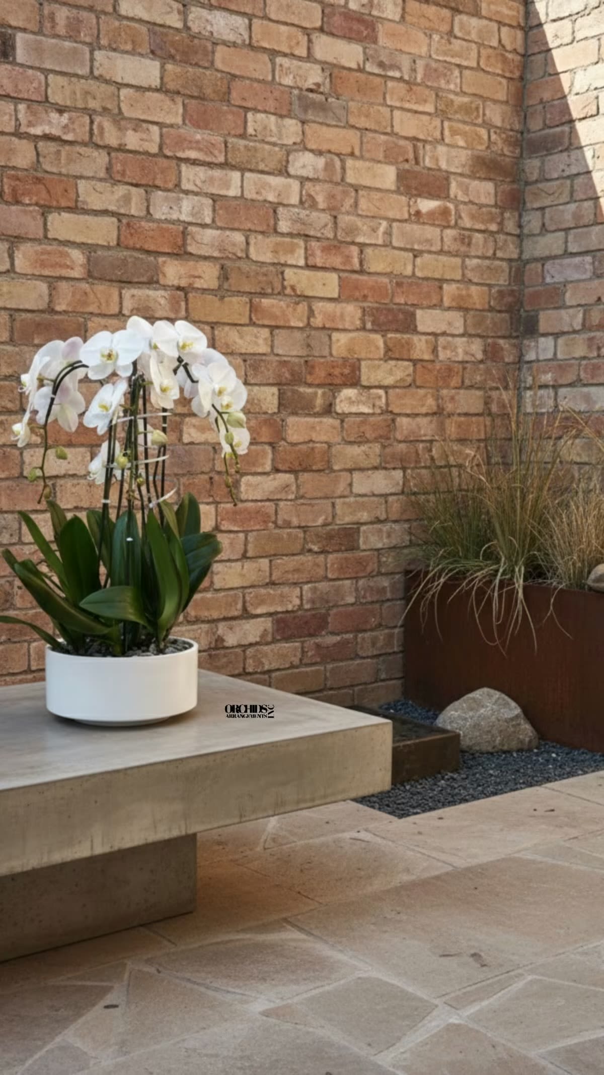 White Phalaenopsis Orchid Arrangement – 6 Stem Luxury Design - Six Luxury White Phalaenopsis orchid Arrangement designed for gifting with a White Vase 12” x 6”. We offer flower delivery, same day flower delivery, orchid delivery, and same day orchid delivery in Miami Dade Broward and Palm Beach. 