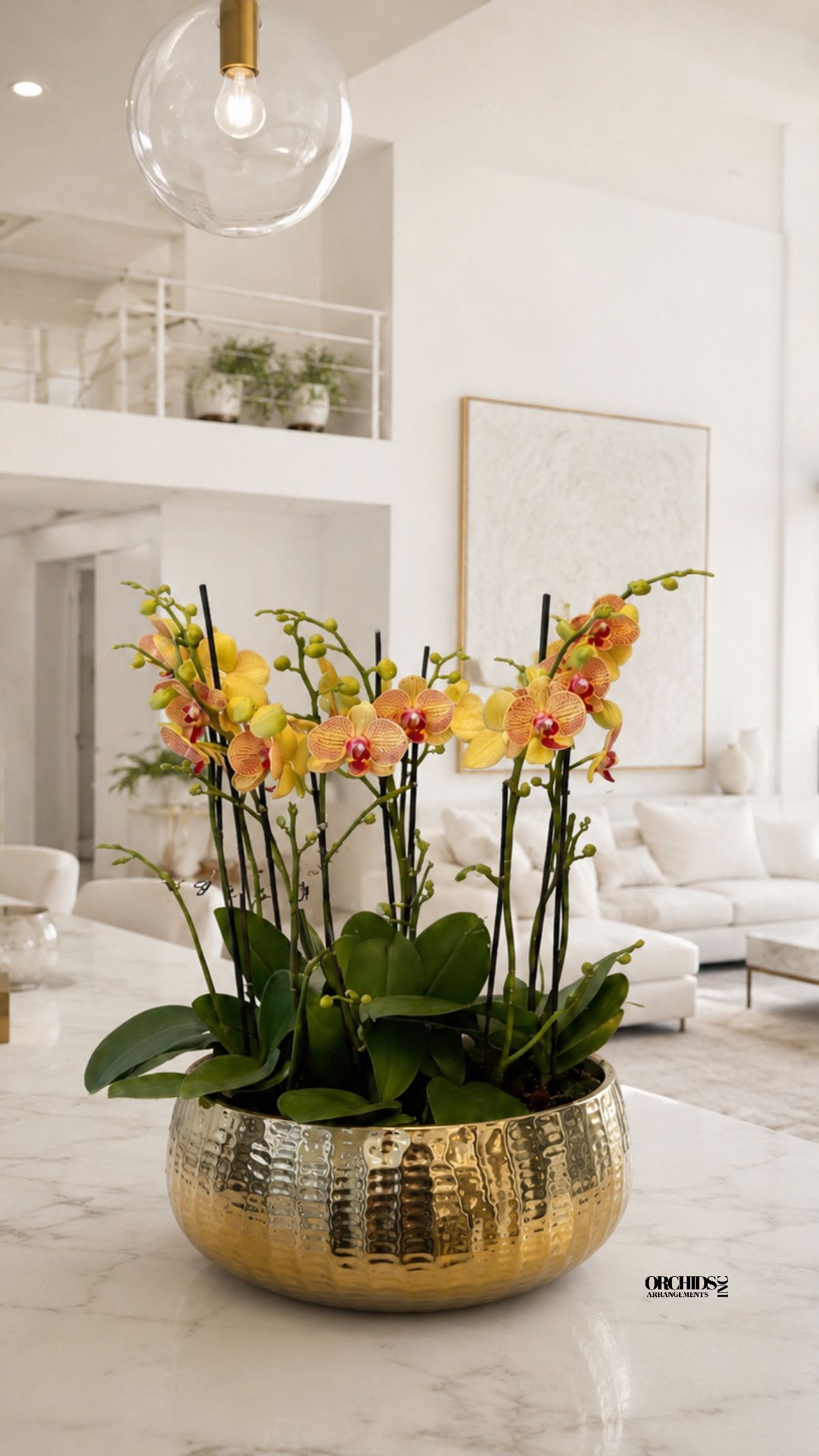 Peach Phalaenopsis Orchid Arrangement – 9 Stem Designer Arrangement - Nine Luxury Peach Phalaenopsis orchid Arrangement designed for gifting with a Gold Vase 15.5” x 7”. We offer flower delivery, same day flower delivery, orchid delivery, and same day orchid delivery in Miami Dade Broward and Palm Beach.