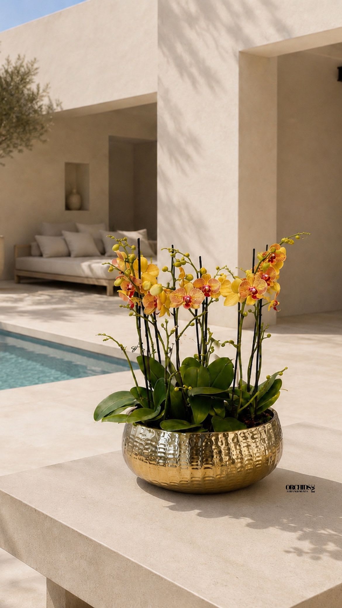 Peach Phalaenopsis Orchid Arrangement – 11 Stem Designer Arrangement - Eleven Luxury Peach Phalaenopsis orchid Arrangement designed for gifting with a Gold Vase 15.5” x 7”. We offer flower delivery, same day flower delivery, orchid delivery, and same day orchid delivery in Miami Dade Broward and Palm Beach. 
