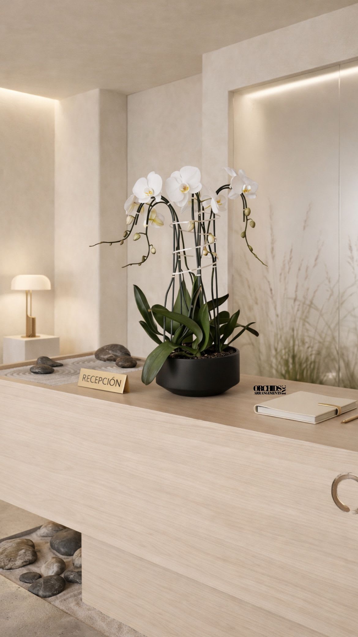 White orchids in a black pot on a reception desk