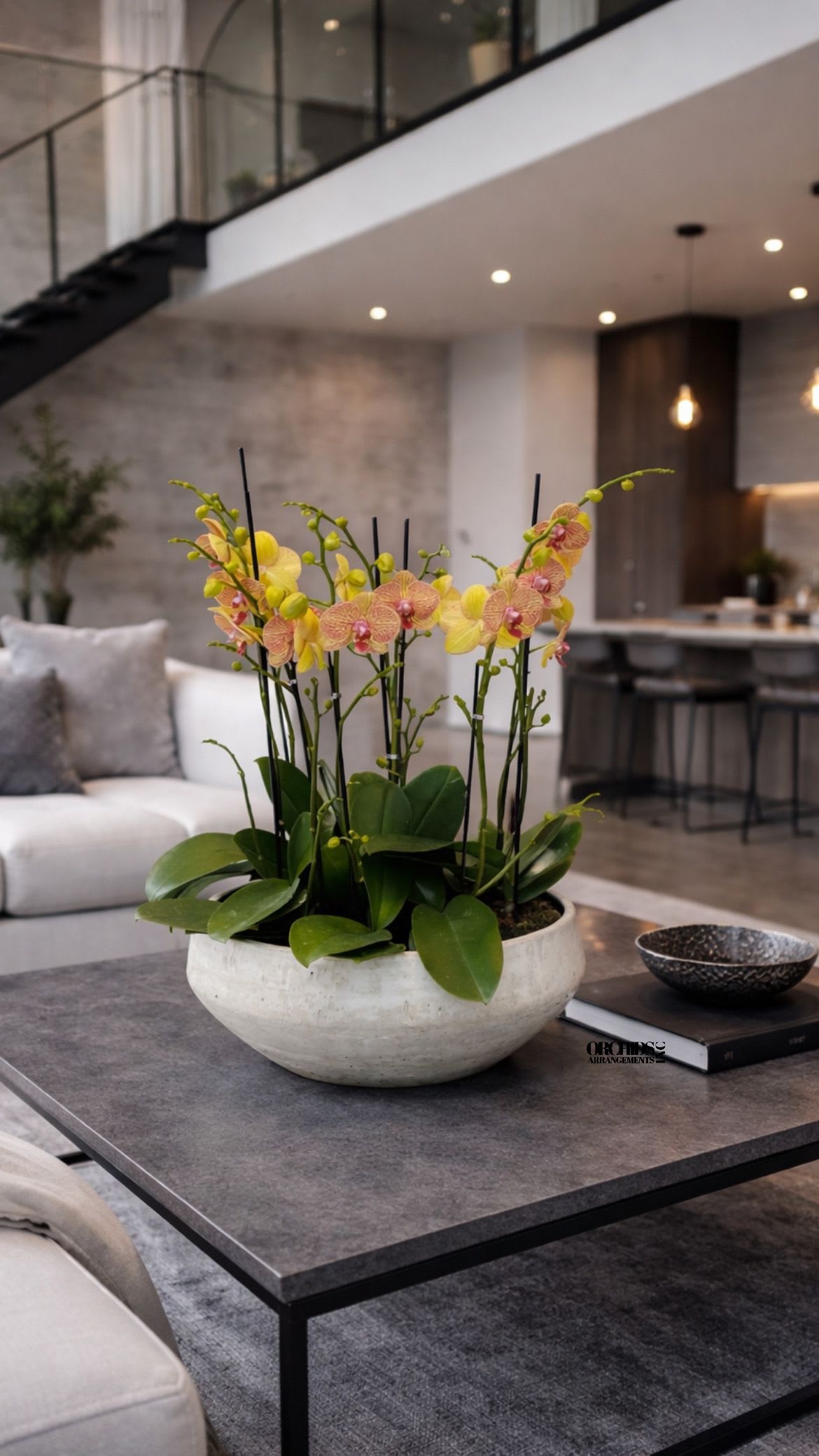 Potted orchid arrangement in a white bowl on a coffee table