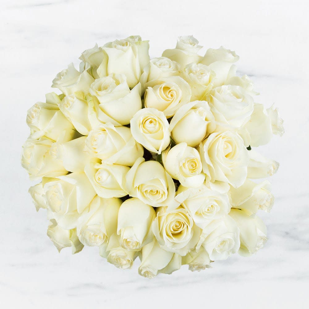 Two Dozen White Roses by BloomNation™ - Make a bold statement with this elegantly simple design. White roses symbolize hope, honor, adoration, and innocence. Two Dozen White Roses by BloomNationâ¢ is the perfect gift to welcome new beginnings or show your respects.    Arrangement Details: Three dozen red roses in a glass cylinder vase.  APPROXIMATE DIMENSIONS are 11"D X 12"H
