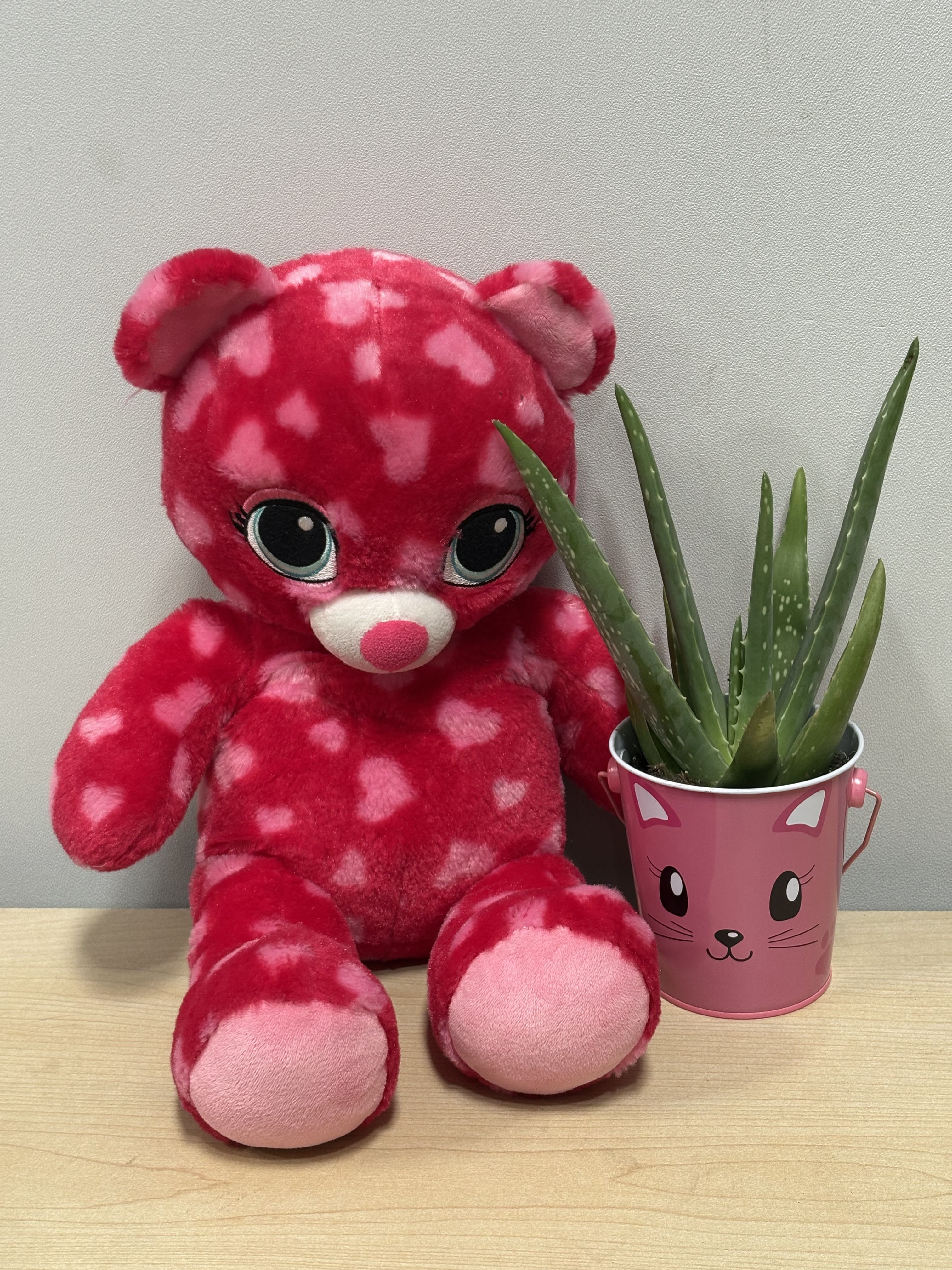 Pink teddy bear beside a small potted succulent in a cat-face container