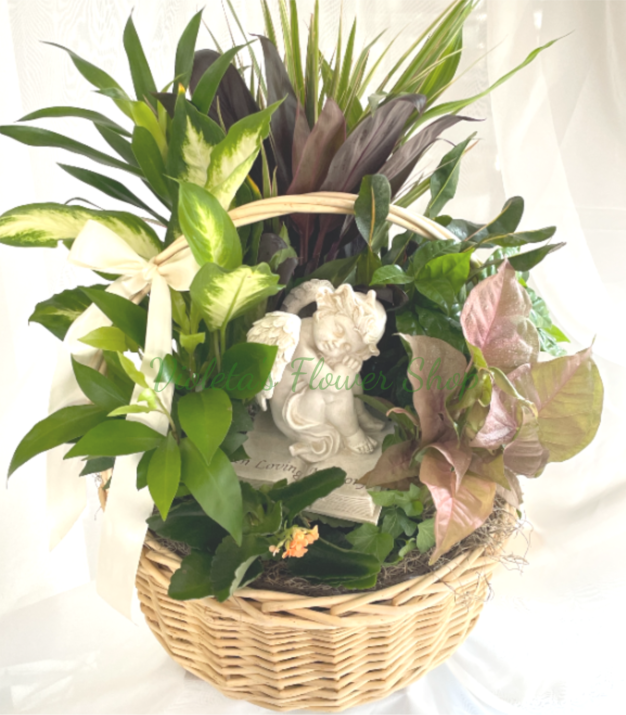 Sympathy Garden Basket - A woven sympathy garden basket of mixed foliage brings a quiet, comforting presence to a bedside table or mantel-perfect as a sympathy arrangement or a "thinking of you" gift for someone grieving. The pale ribbon and small ceramic angel figurine at the center give this planter a gentle, devotional touch that reads as both memorial and everyday comfort.  Rich, varied foliage-deep green, variegated cream-and-green, muted pink-purple and burgundy tones-is planted densely in a wicker basket to create layered texture and visual depth. The assortment of leaf shapes and colors catches light differently throughout the day, while the cream ribbon and white angel figurine lend a soft, homey finish that feels thoughtfully arranged rather than fussy.  Made to sit indoors as a lasting tribute or housewarming gift, this plant basket offers low-maintenance greenery that brings calm to a room and presence to a memory. Place on a well-lit table away from direct sun and water sparingly; the compact woven planter makes it easy to move where it's needed most.