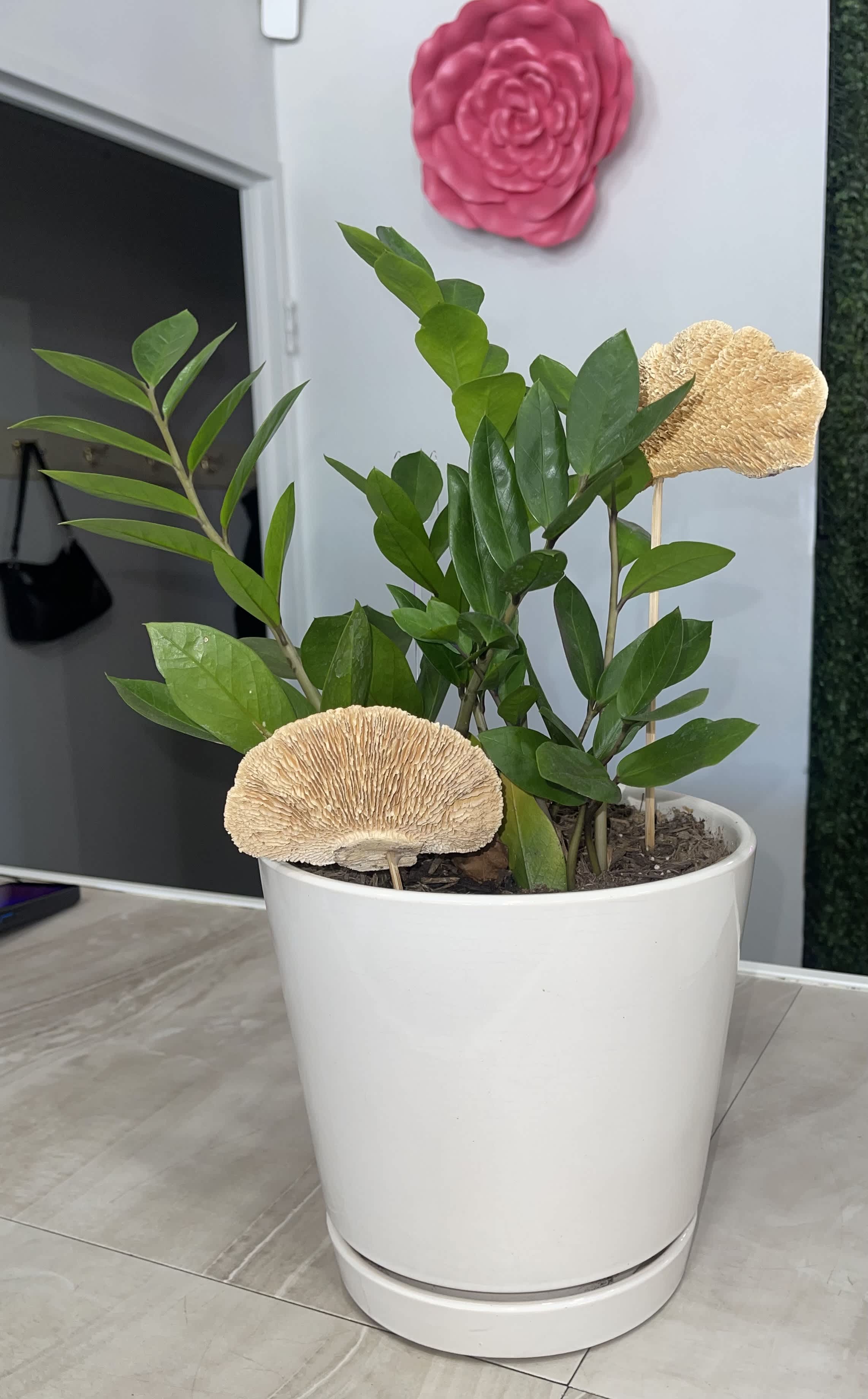 Potted green plant with decorative beige mushroom picks