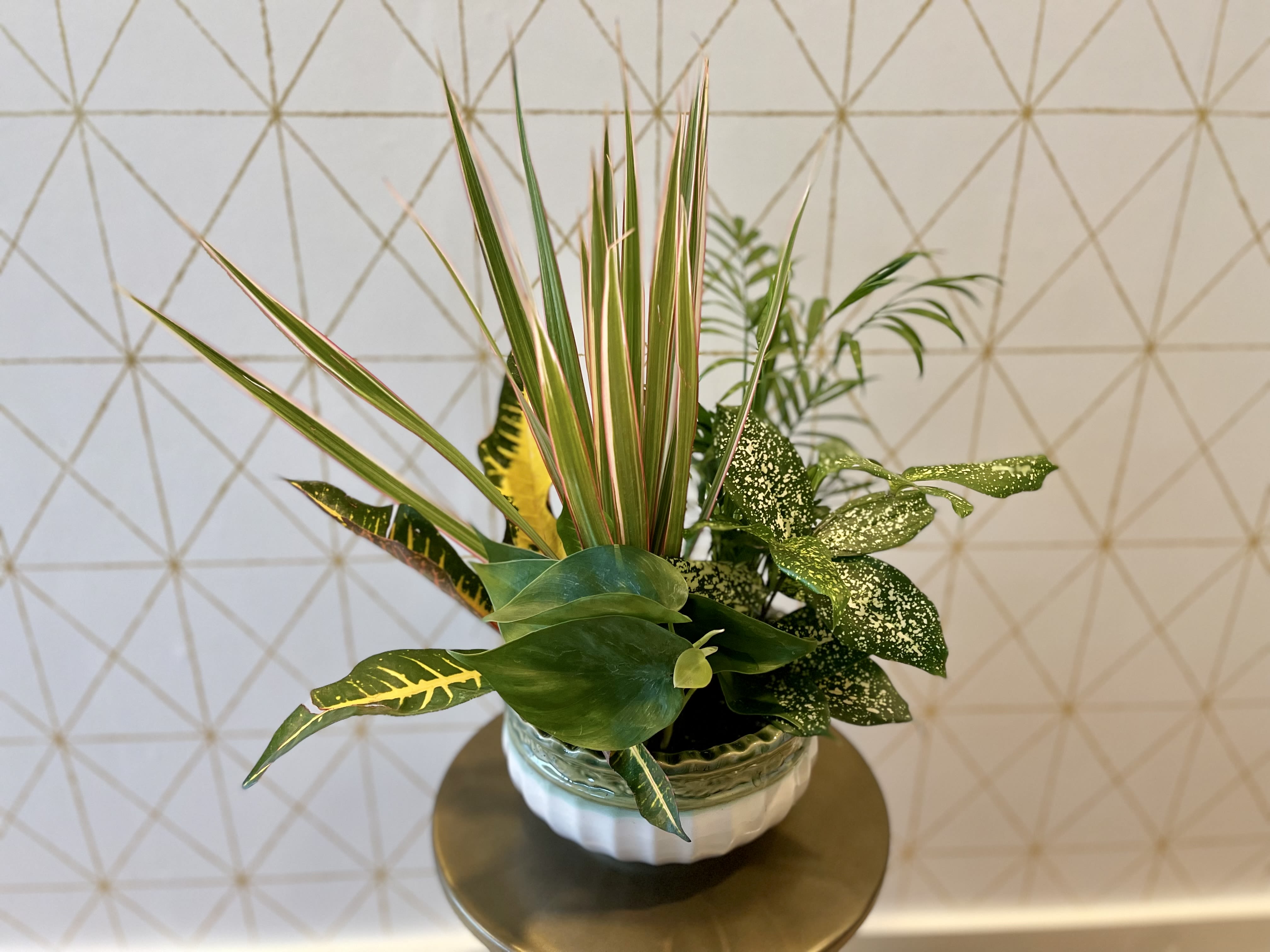Tropical foliage arrangement in a white ceramic bowl