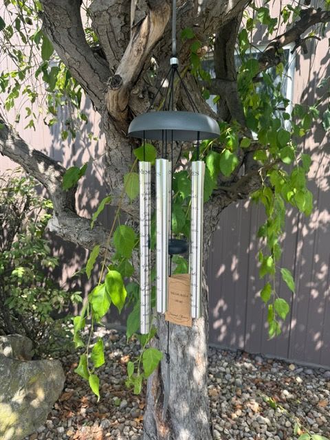A silver wind chime hanging from a tree branch outdoors.