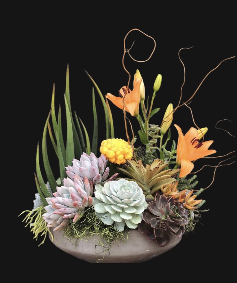 Succulent arrangement with orange lilies in a shallow bowl