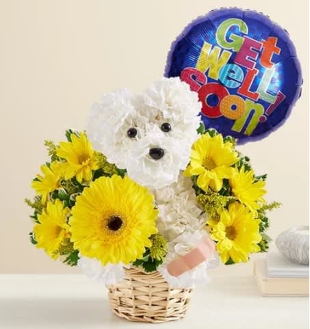White flower dog arrangement with yellow daisies and a "Get Well Soon" balloon
