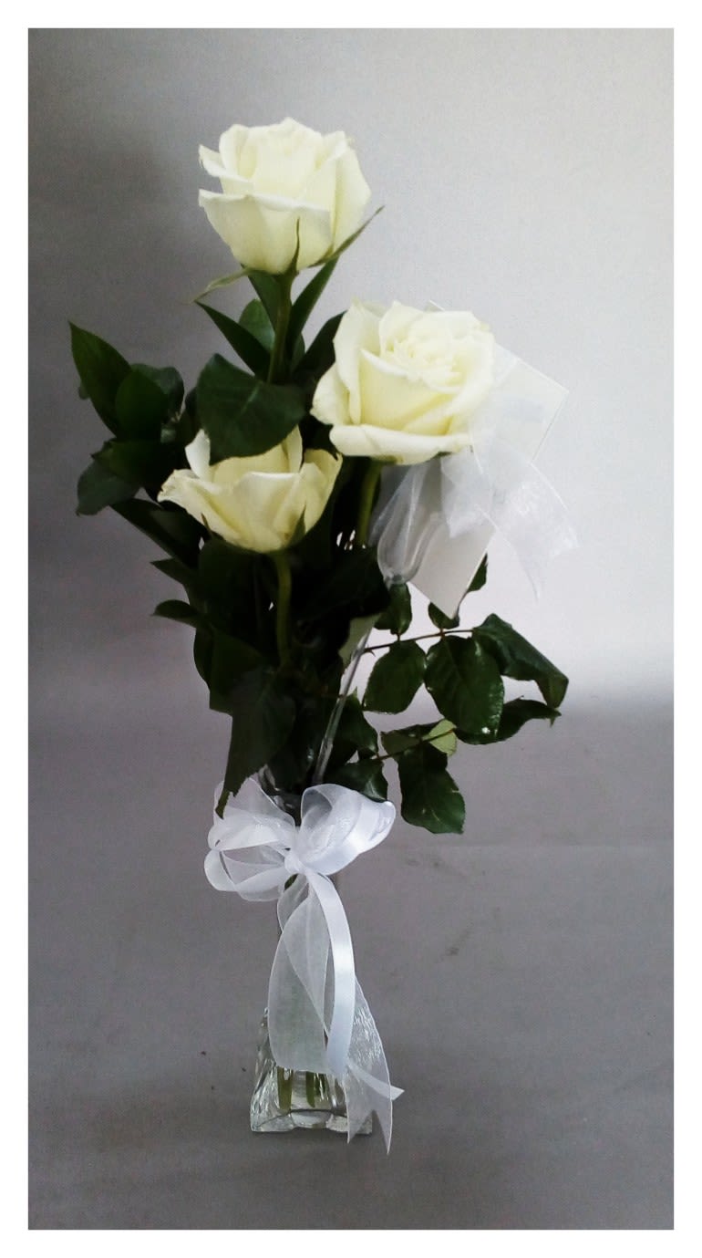 Three white roses in a clear glass vase with a white ribbon
