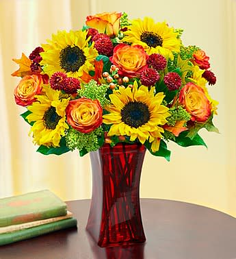Autumn Sophisticationâ¢ - EXCLUSIVE When thinking up the perfect mix of flowers to put in our Autumn Sophistication arrangement, we wanted to capture the lively palette of colors youâll find this time of year. The result is a mix of creamy bi-color yellow and orange roses, golden sunflowers, rich burgundy poms, amber hypericum and more, handcrafted by our expert florists and artistically arranged in a striking red glass vase accented with dried oak leaves. We hope it brings just as much joy and happiness to all the special people in your life as it does for us! Fresh arrangement of bi-color yellow and orange roses, sunflowers, burgundy poms, amber hypericum, solidago and salal, hand-arranged by our expert florists with dried oak leaves Gathered in a red glass gathering vase; measures 9"H Large arrangement measures approximately 18"H x 14"L Medium arrangement measures approximately 17"H x 13"L Small arrangement measures approximately 16"H x 12"L Our florists select the freshest flowers available, so colors, varieties and container may vary due to local availability