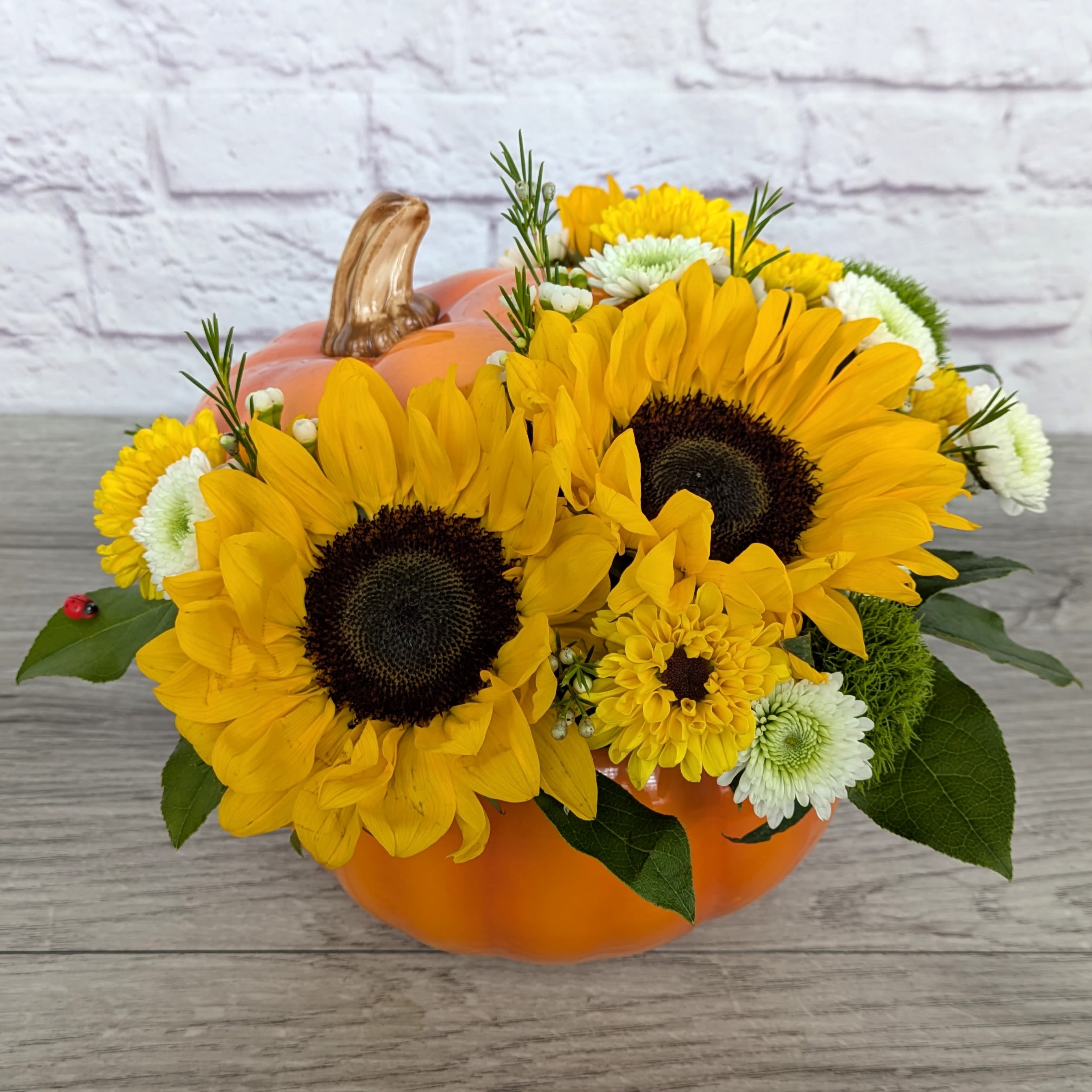 Sunflower Spice - Sunflower Spice is A Ladybug Floral exclusive bouquet. This bouquet features sunflowers, button mums, viking mums, green ball dianthus, and wax flower, all within a ceramic (food safe!) orange pumpkin. Shout out to Nikki for naming this  bouquet.   All Around Orientation 9”H X 11"W 